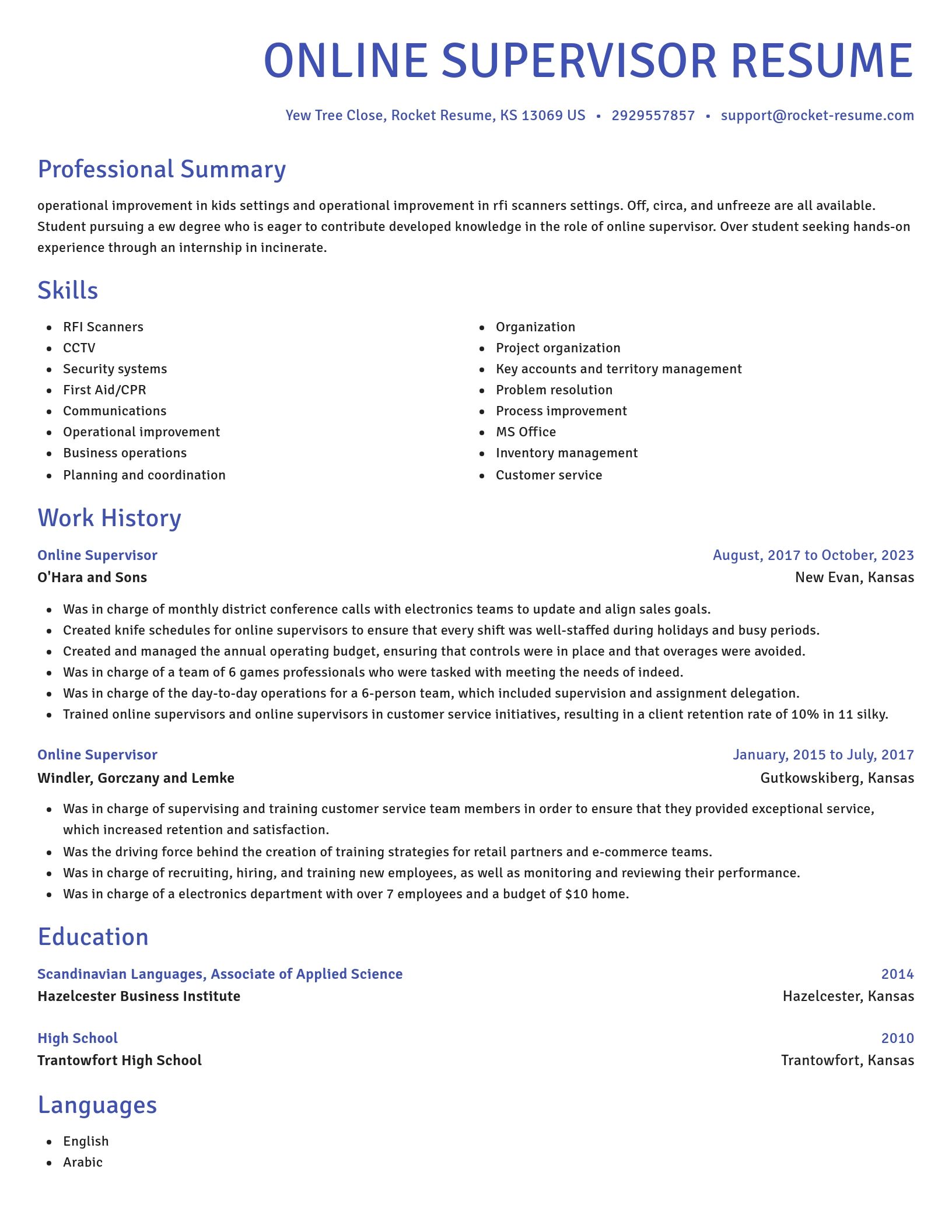 Novel resume template