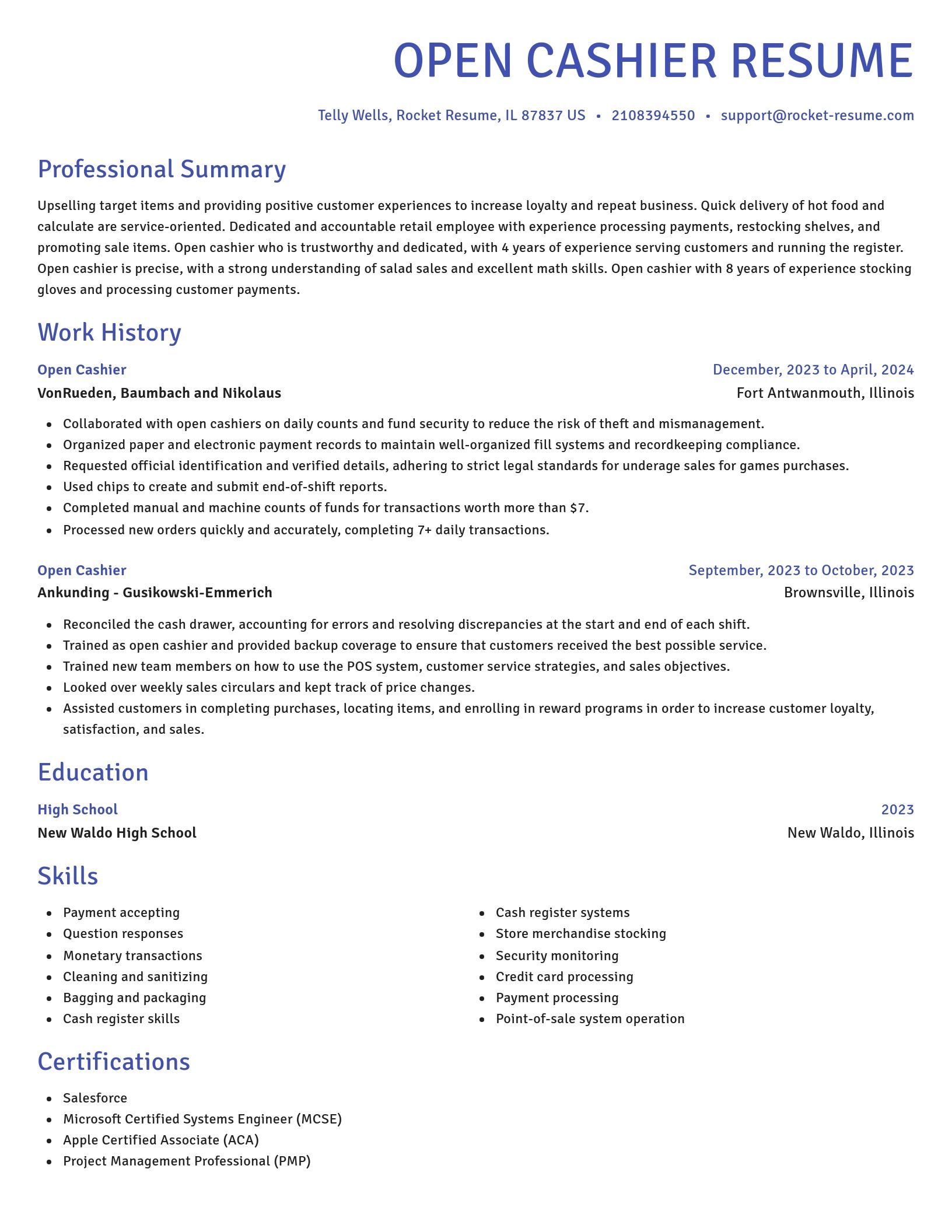 Novel resume template