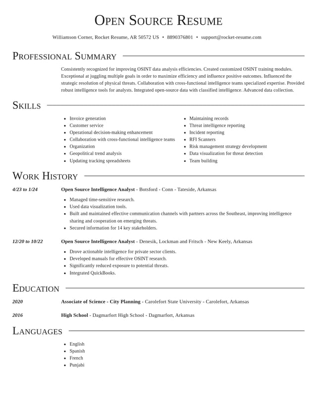 Director resume template