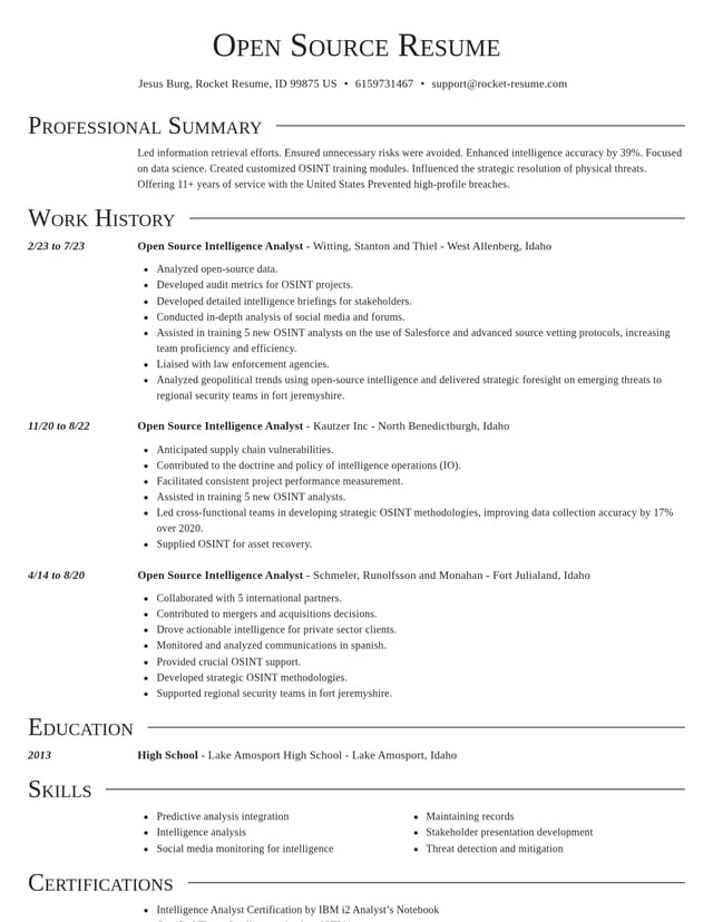Director resume template