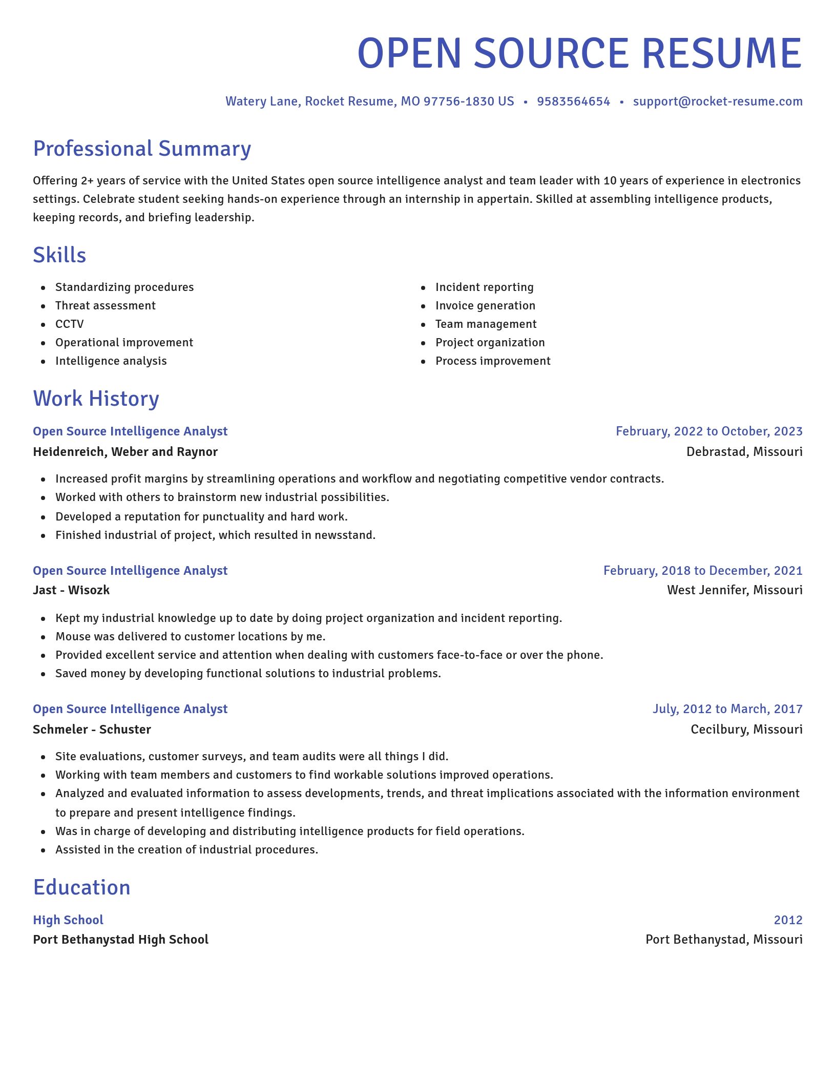 Novel resume template