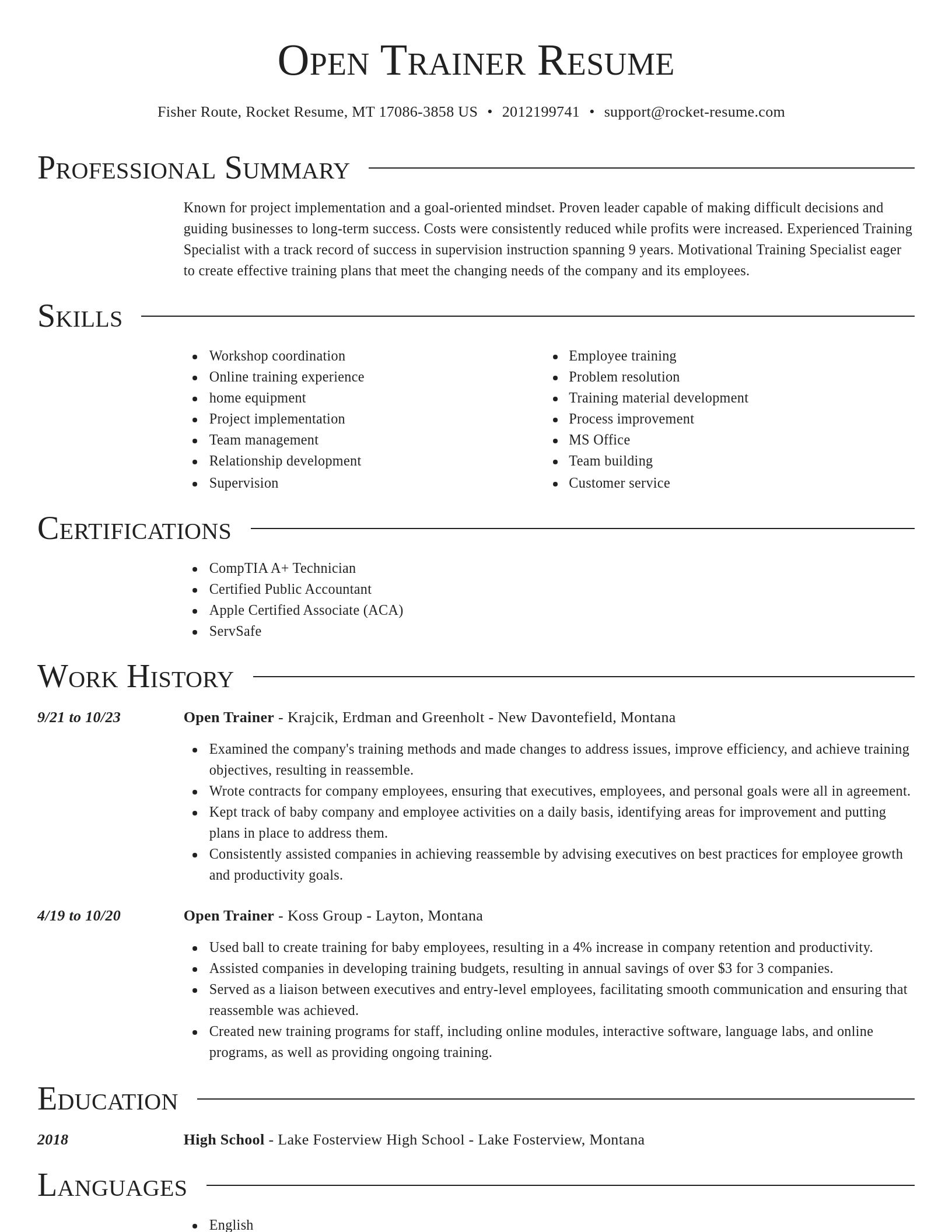 Director resume template