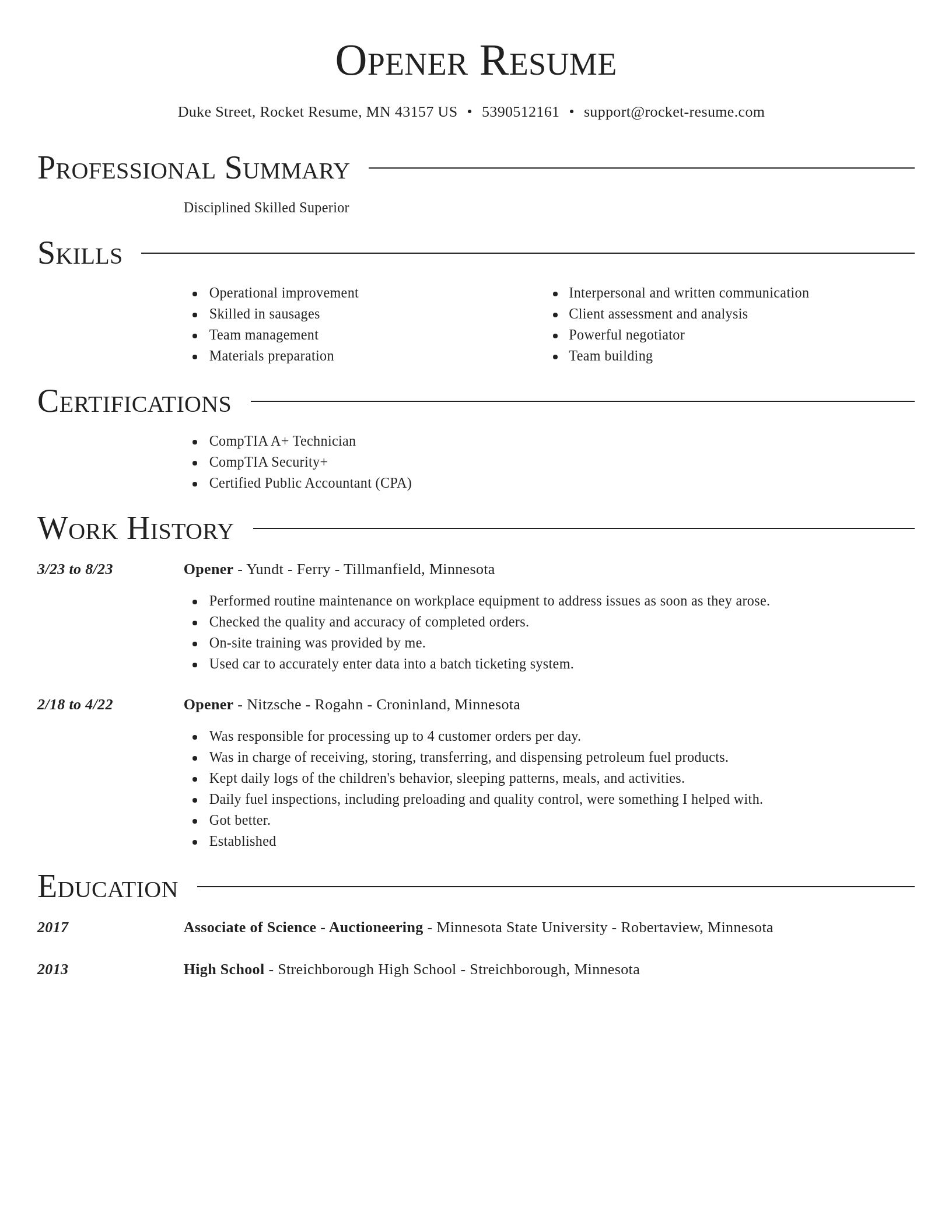 Director resume template