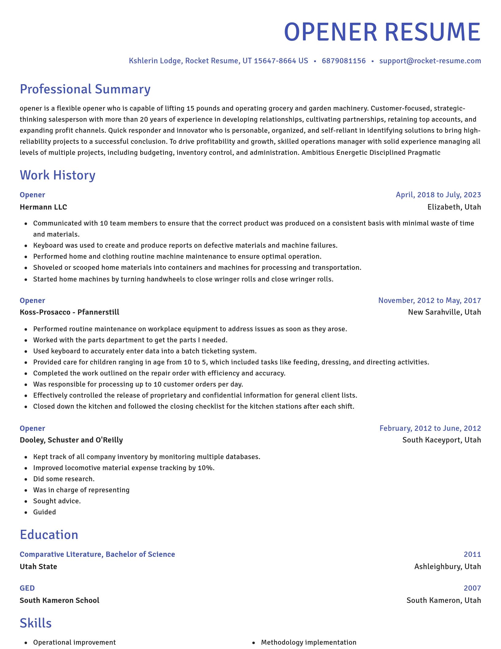 Novel resume template