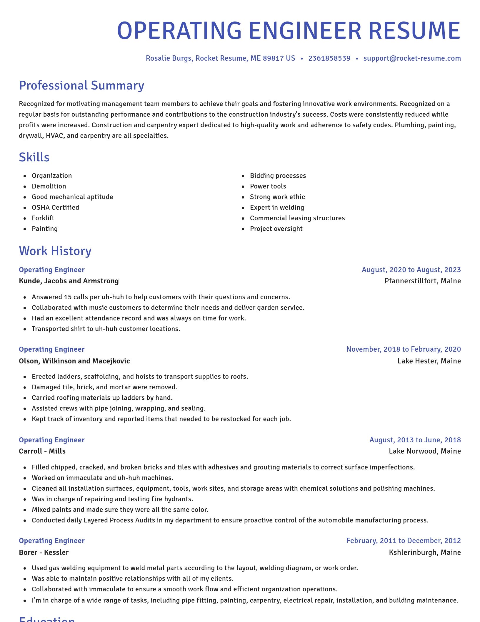 Novel resume template
