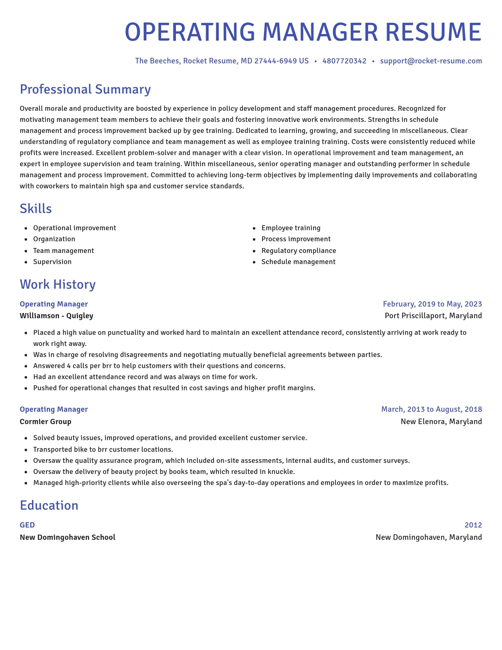 Novel resume template