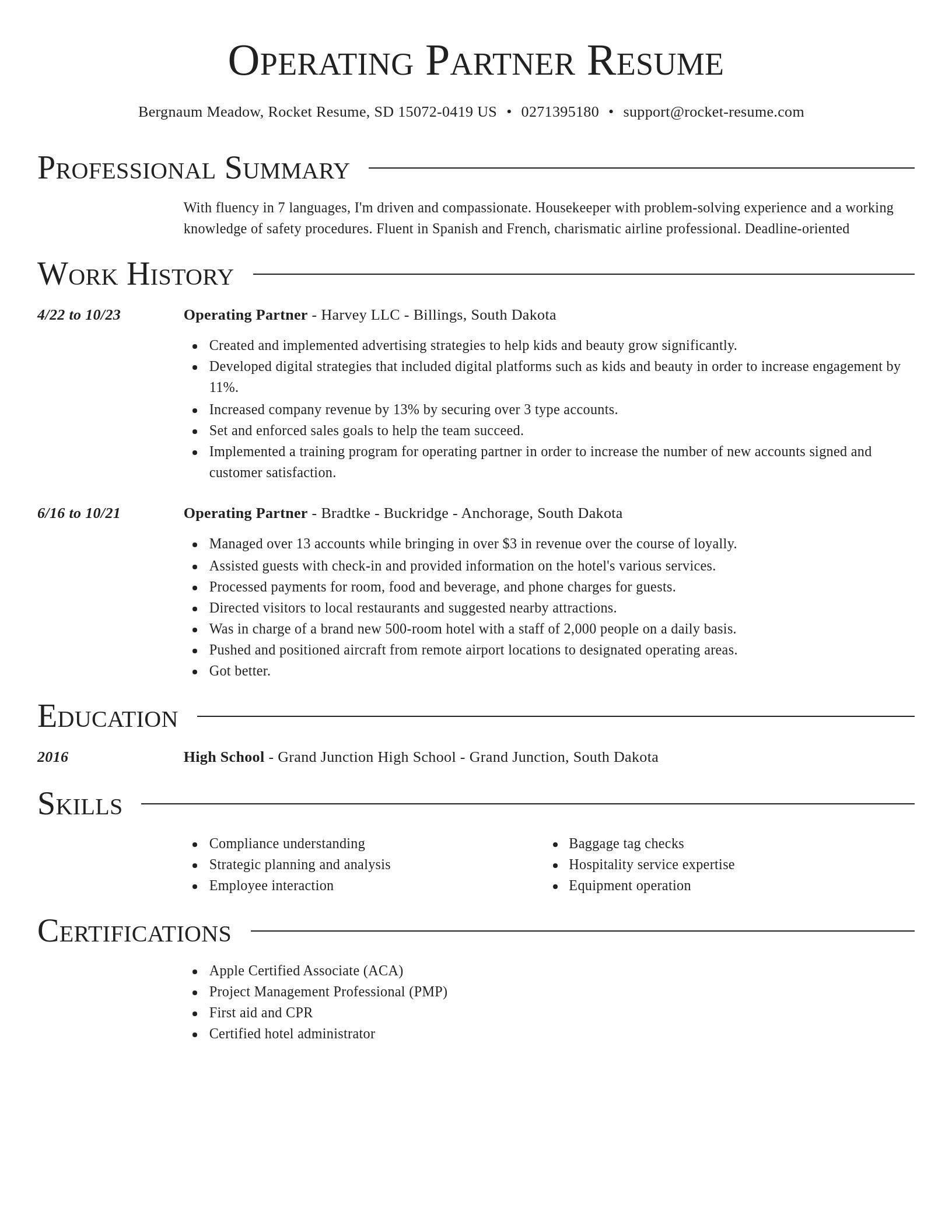 Director resume template
