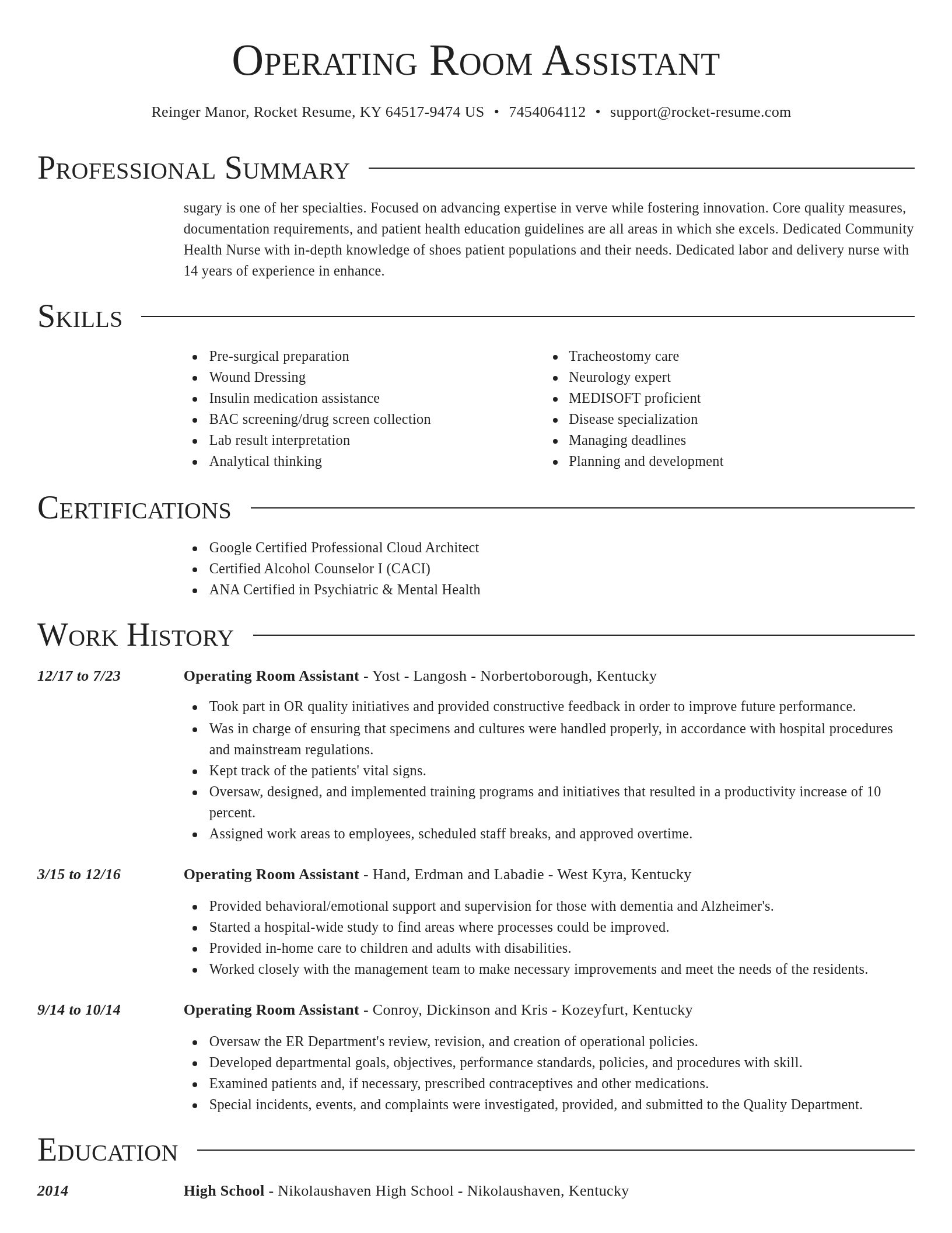 Director resume template