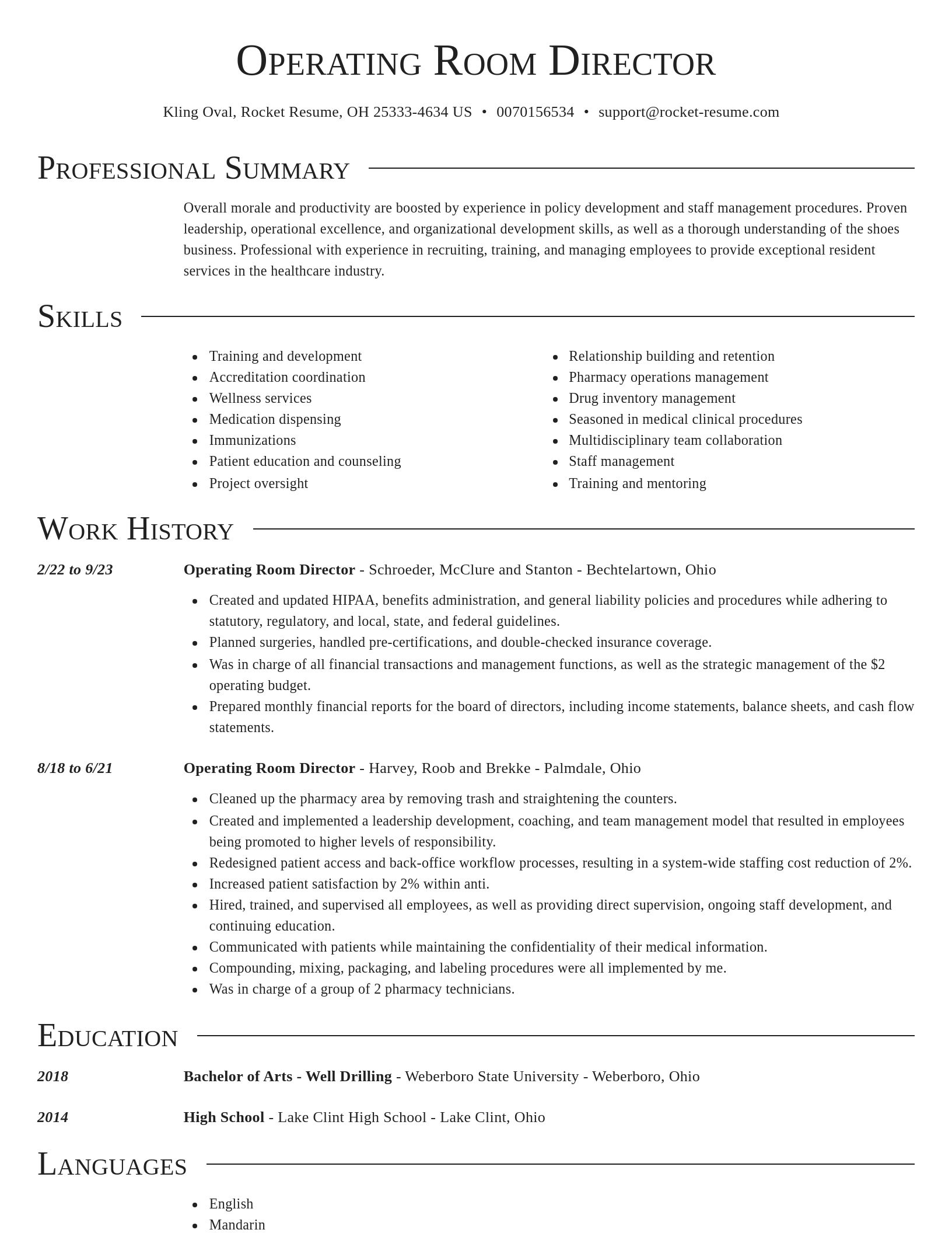 Director resume template