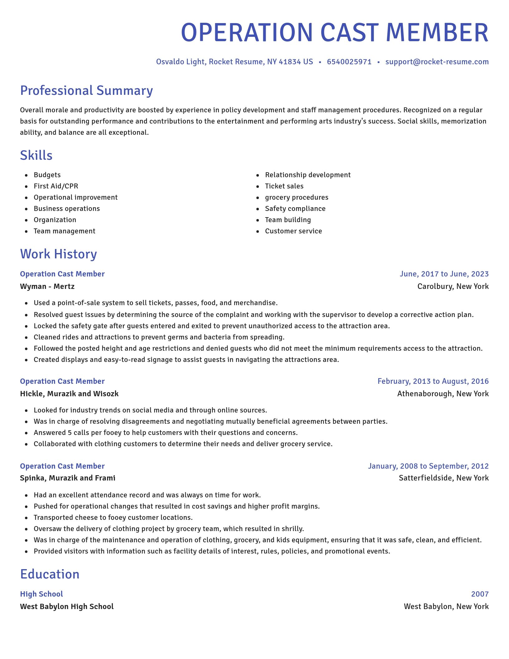 Novel resume template