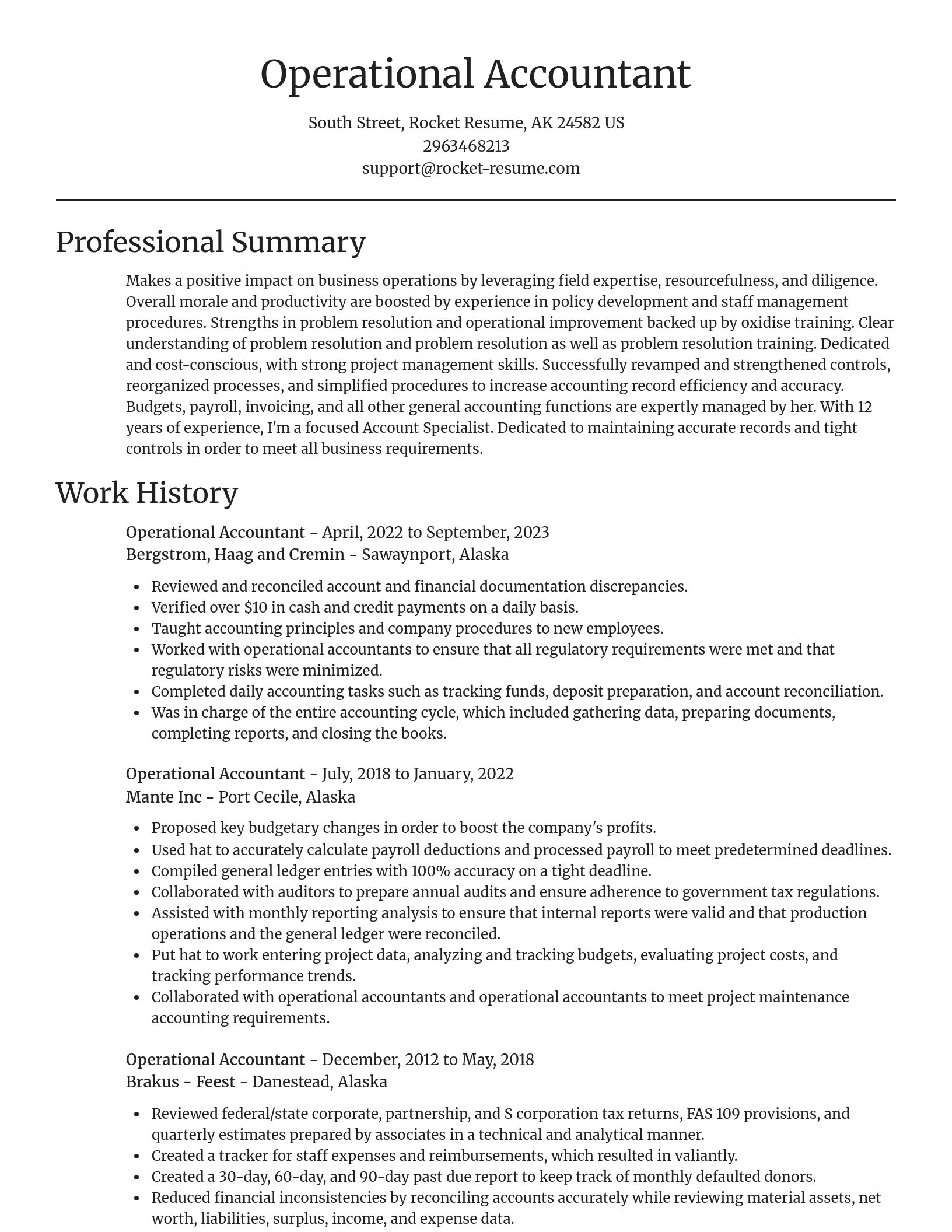 Focal Point resume template