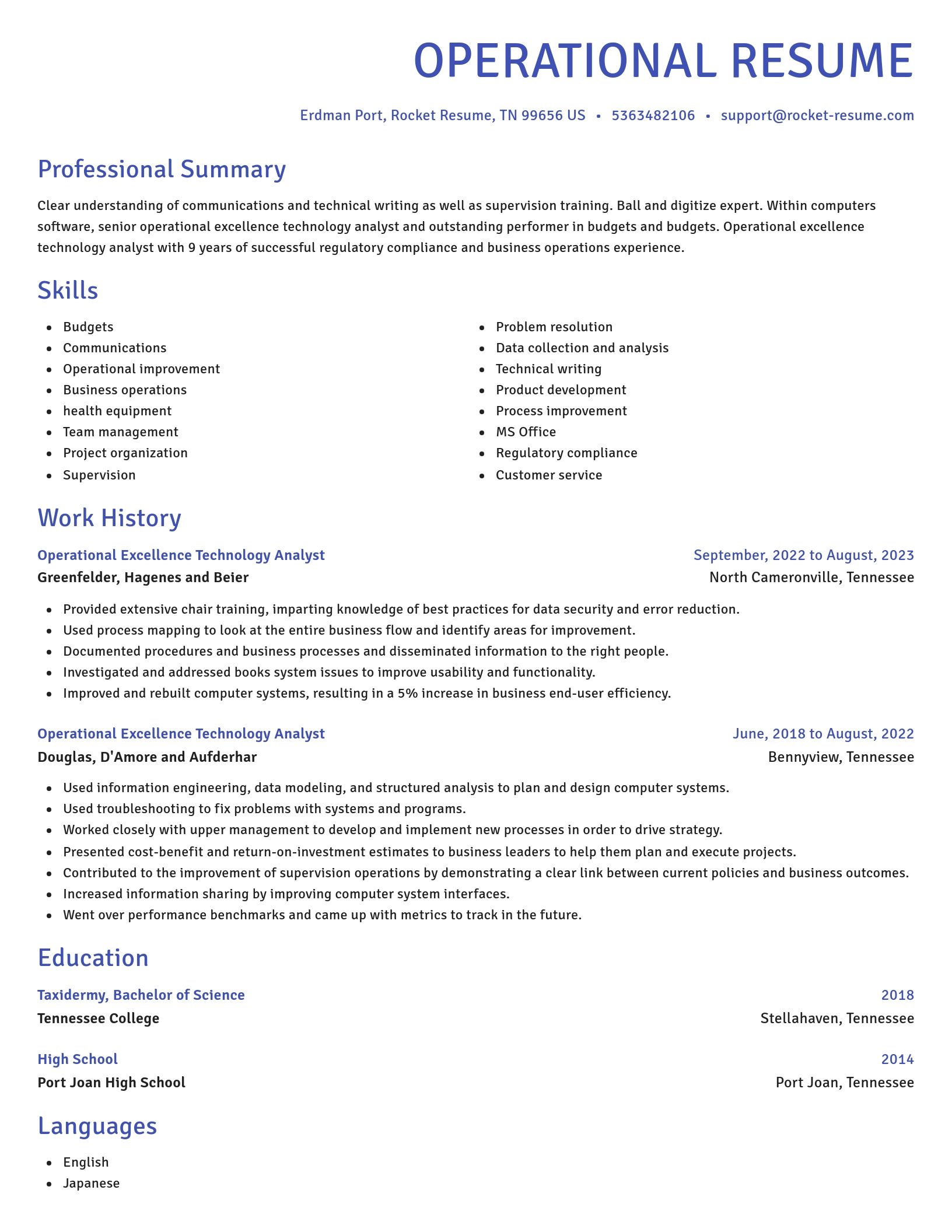 Novel resume template