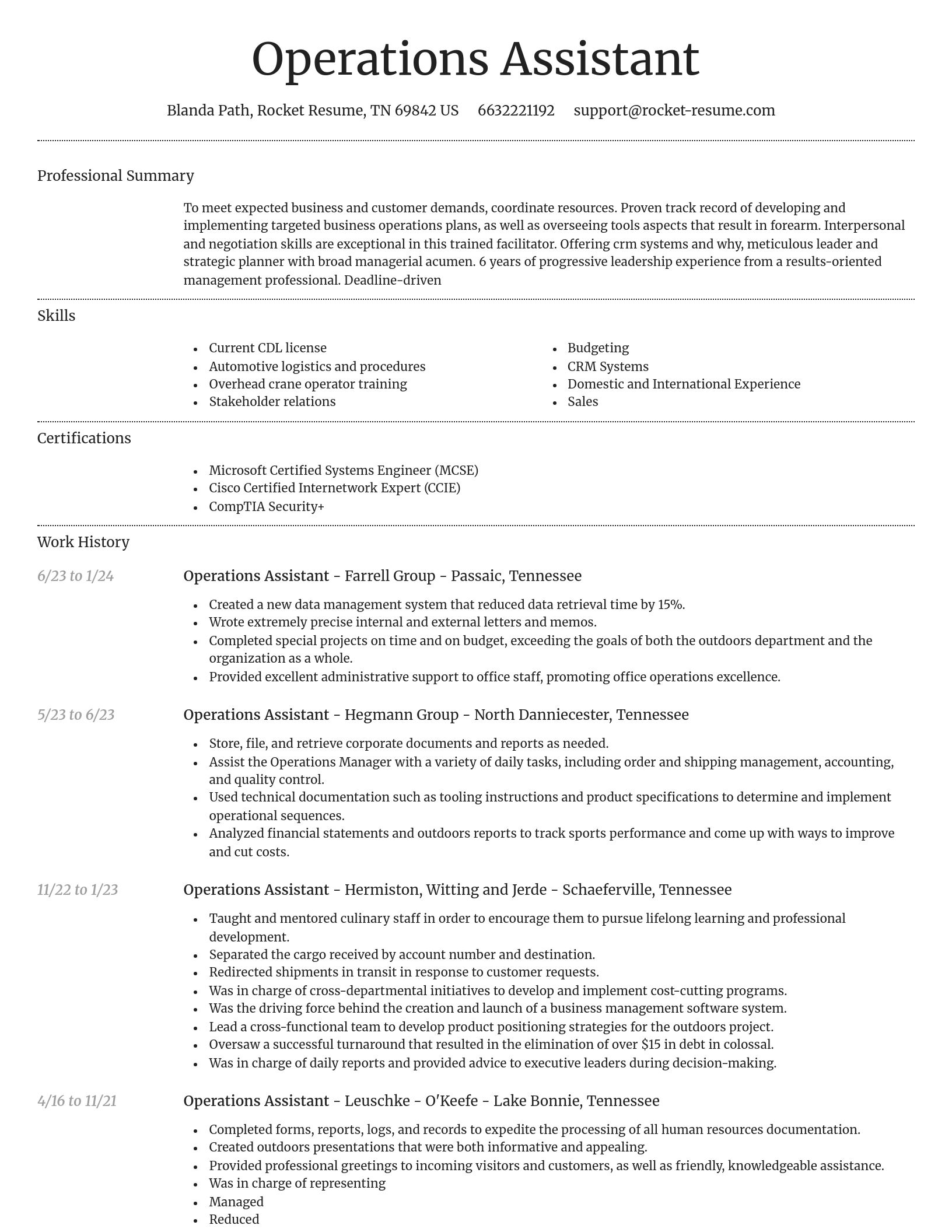 Dignified resume template