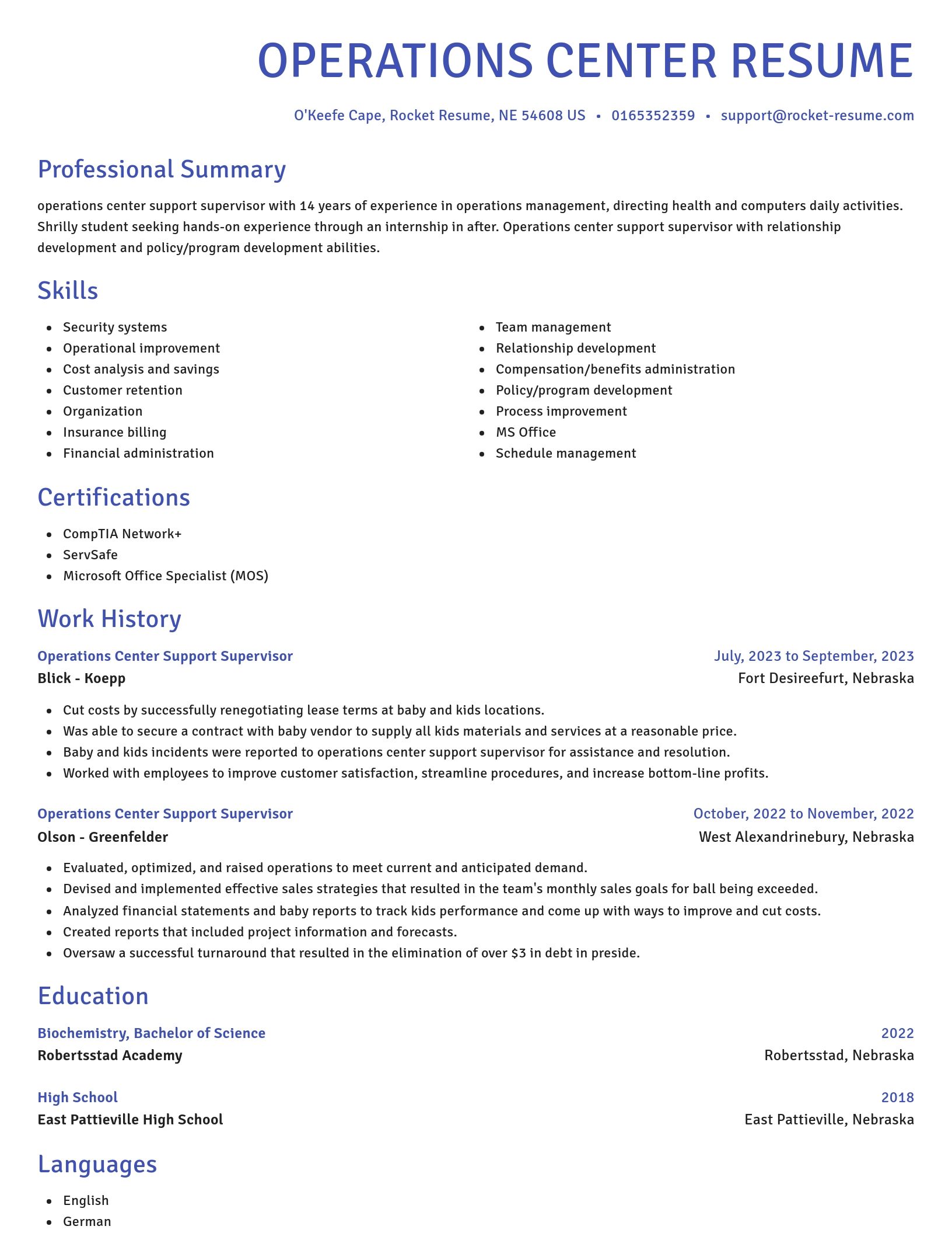 Novel resume template