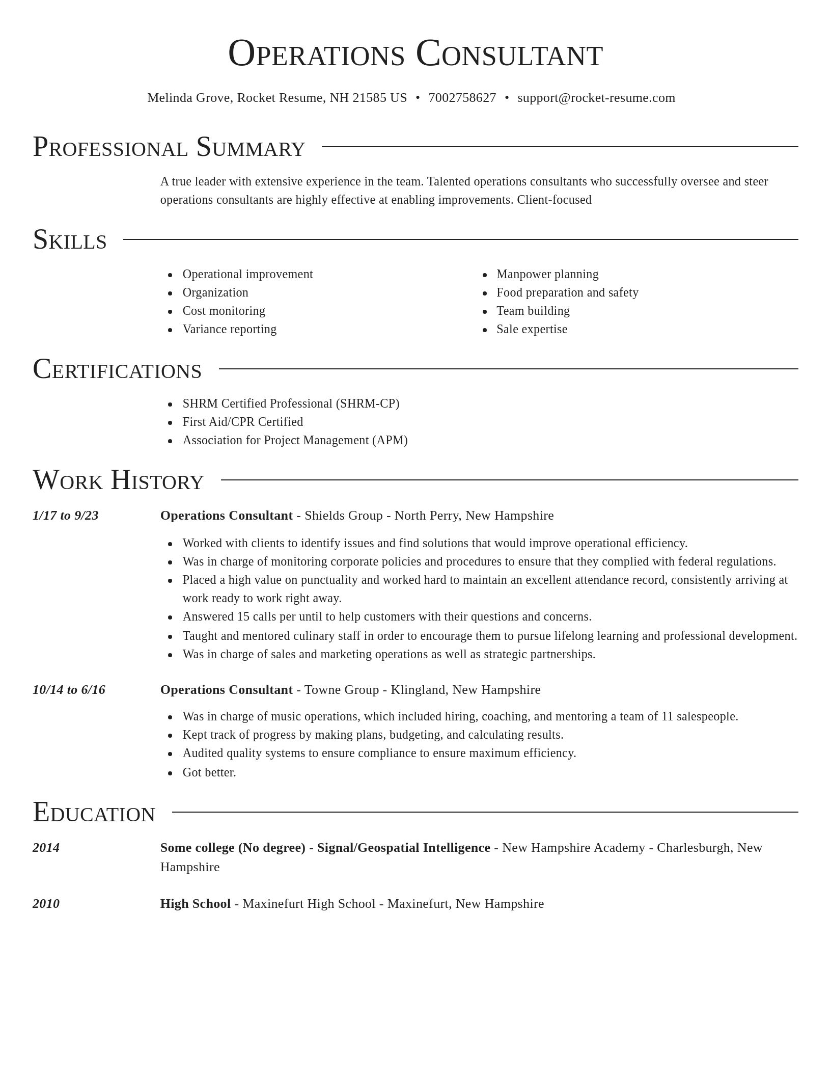 Director resume template