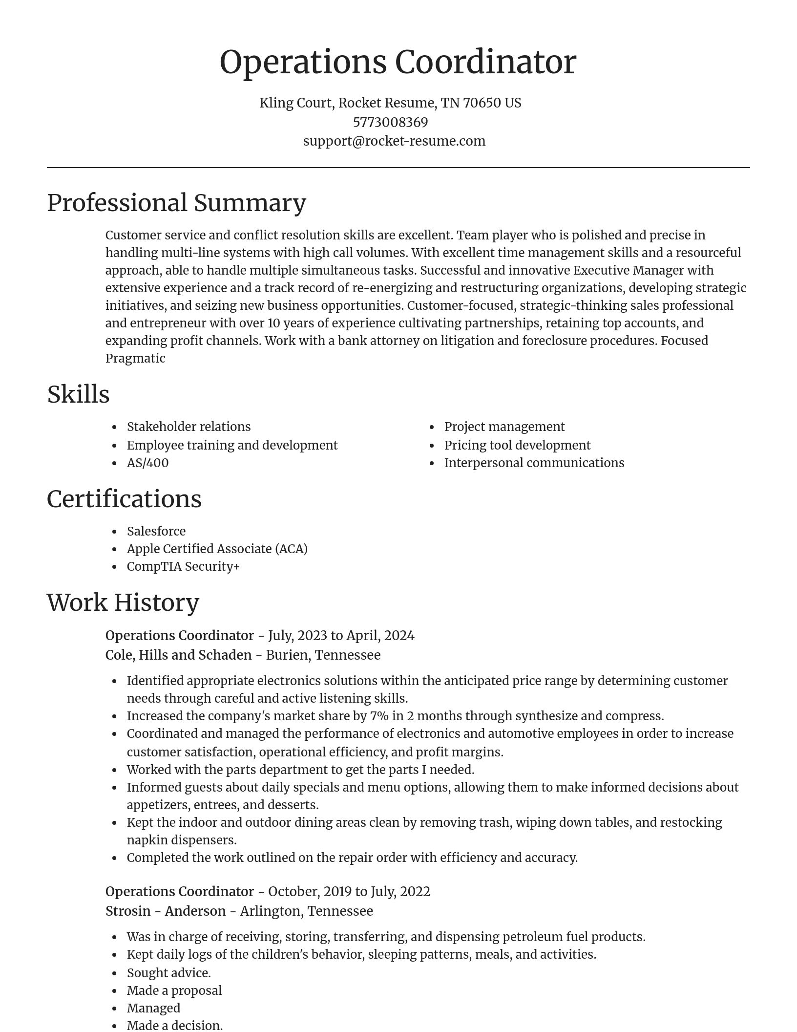 Focal Point resume template