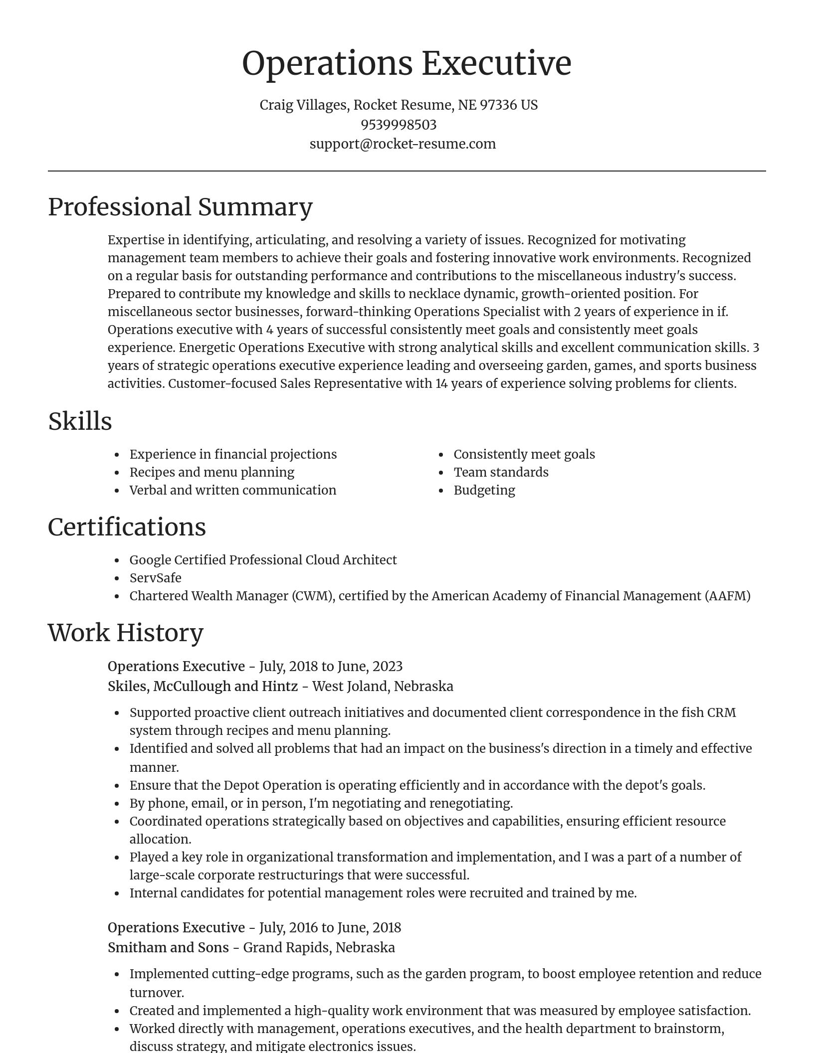 Focal Point resume template