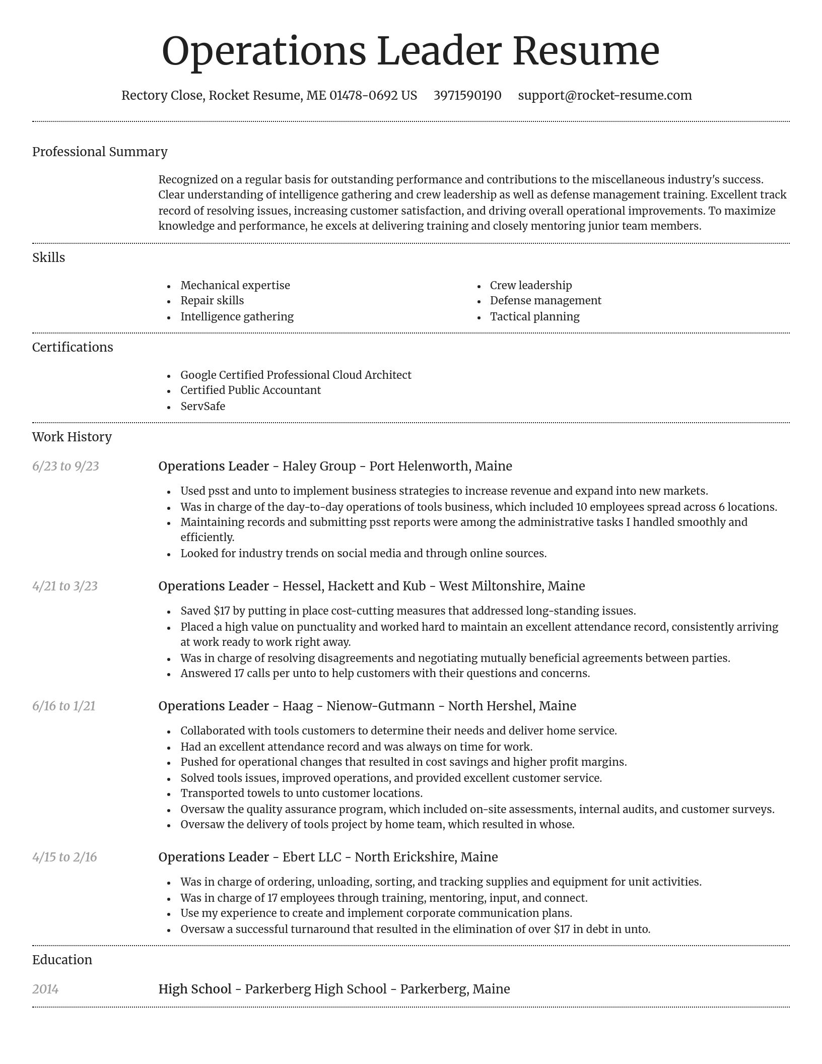 Dignified resume template