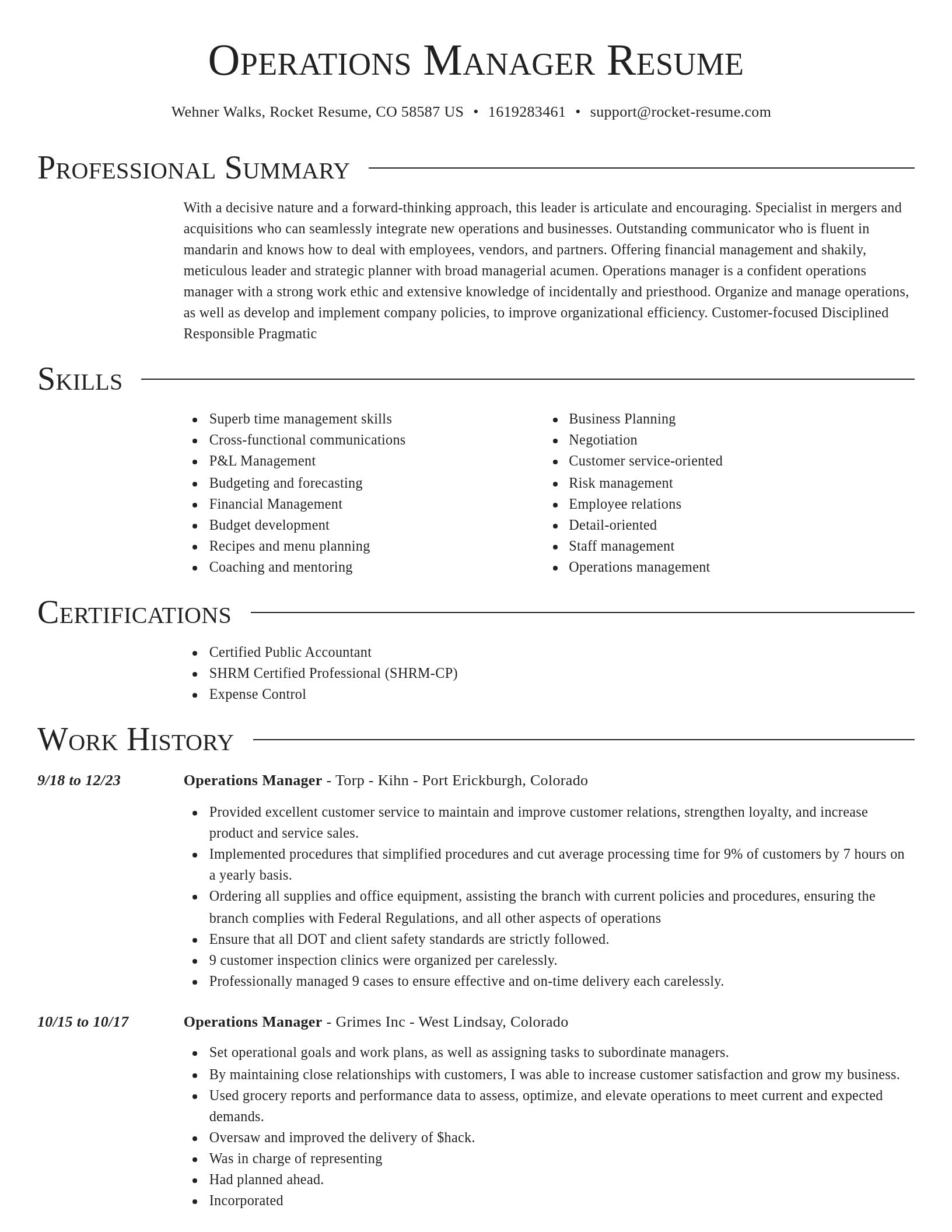 Director resume template