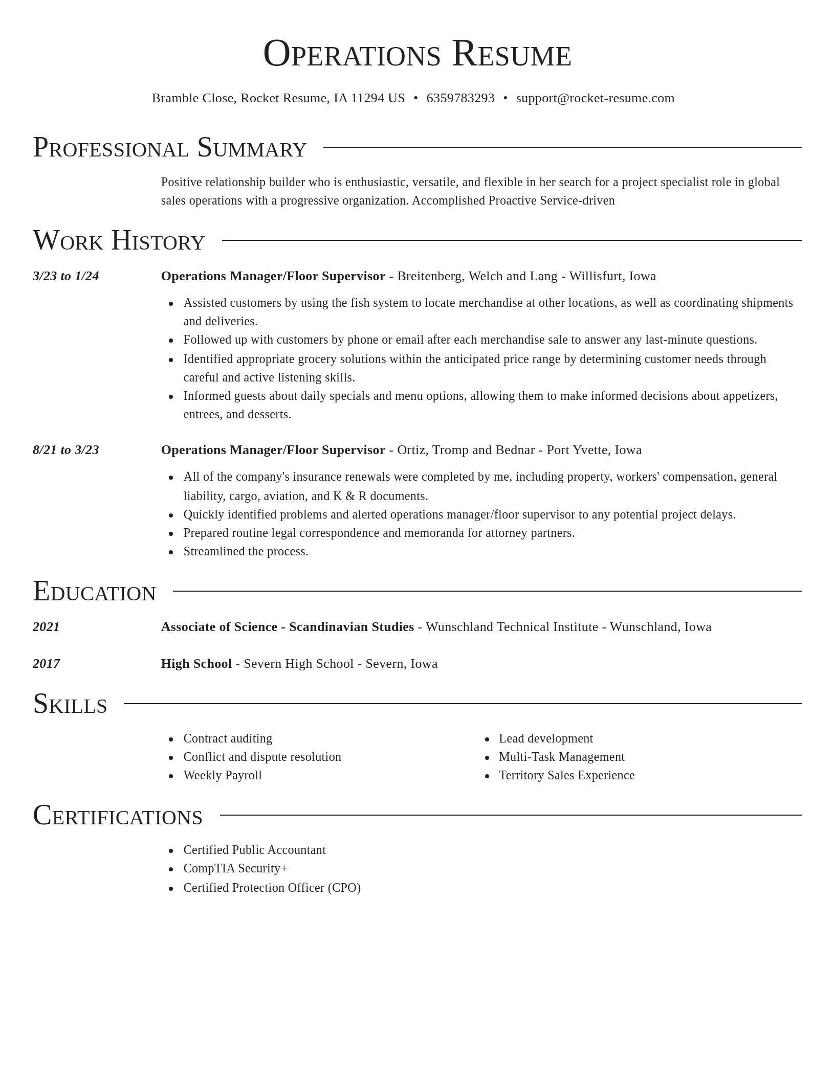 Director resume template