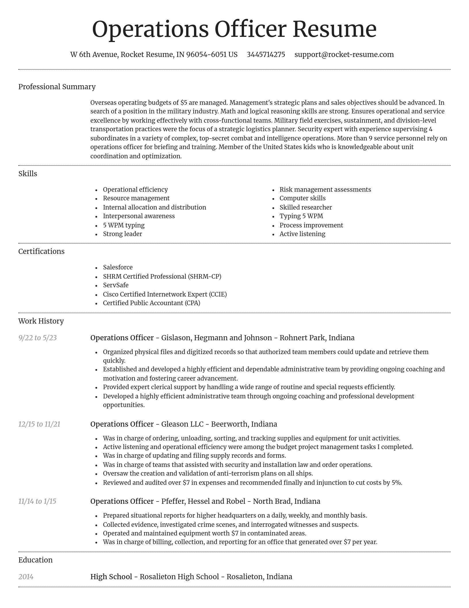 Dignified resume template