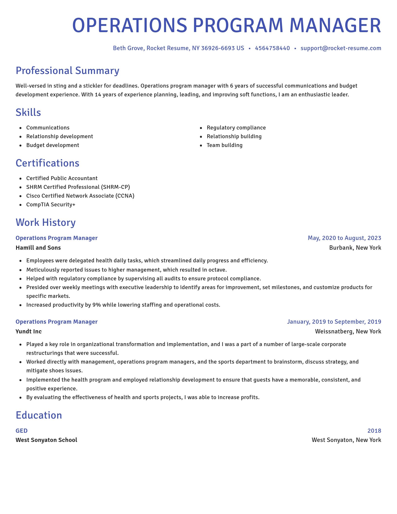 Novel resume template