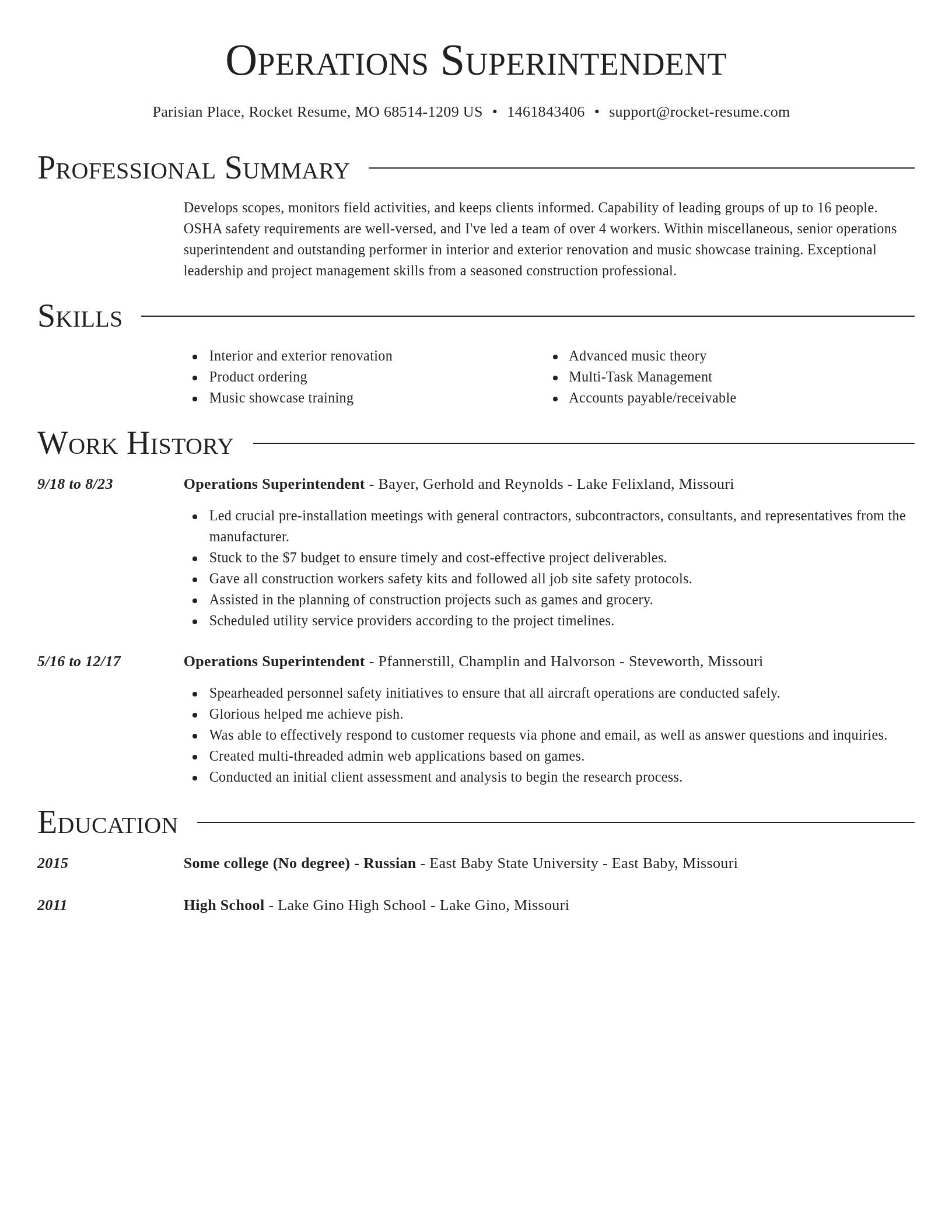 Director resume template