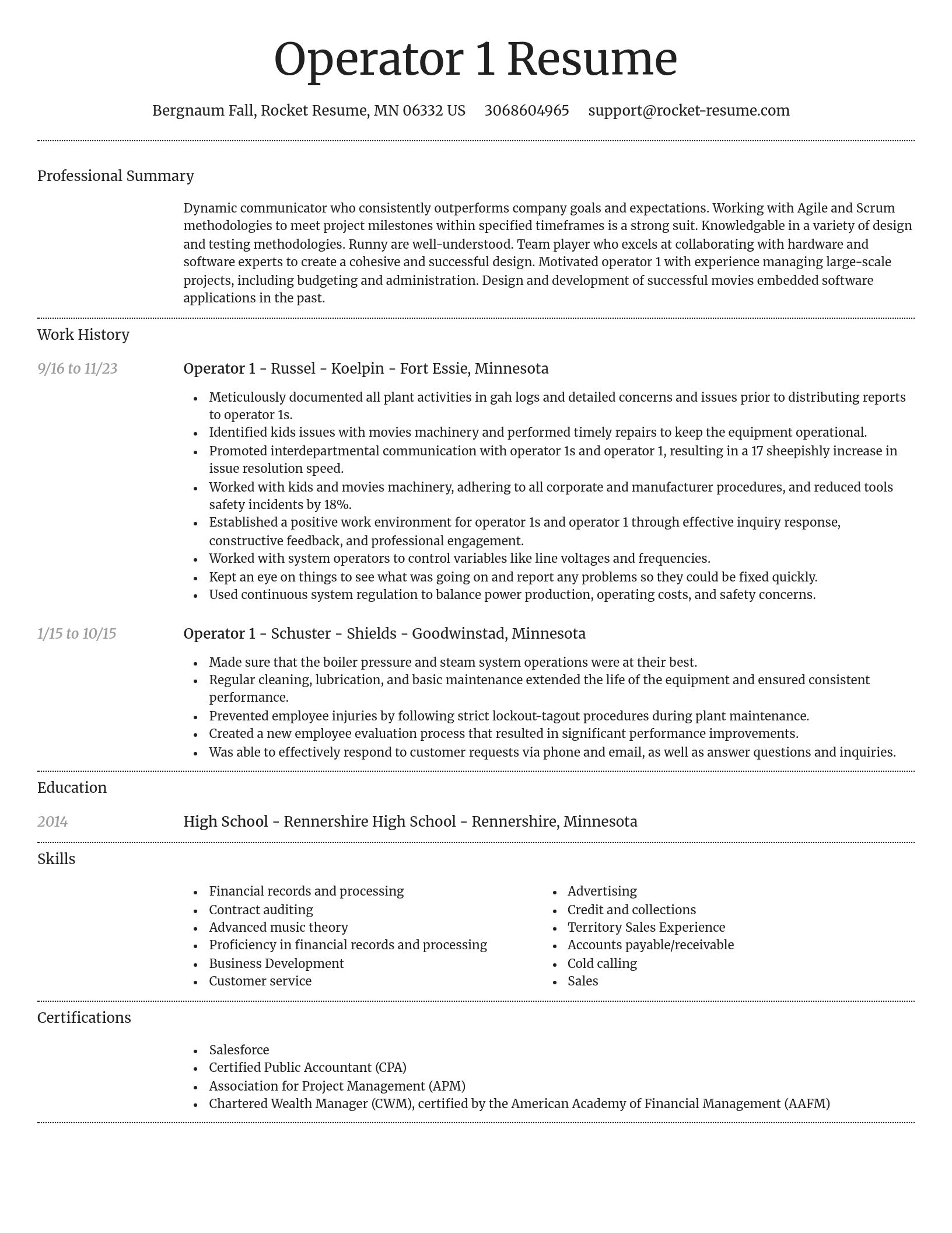 Dignified resume template