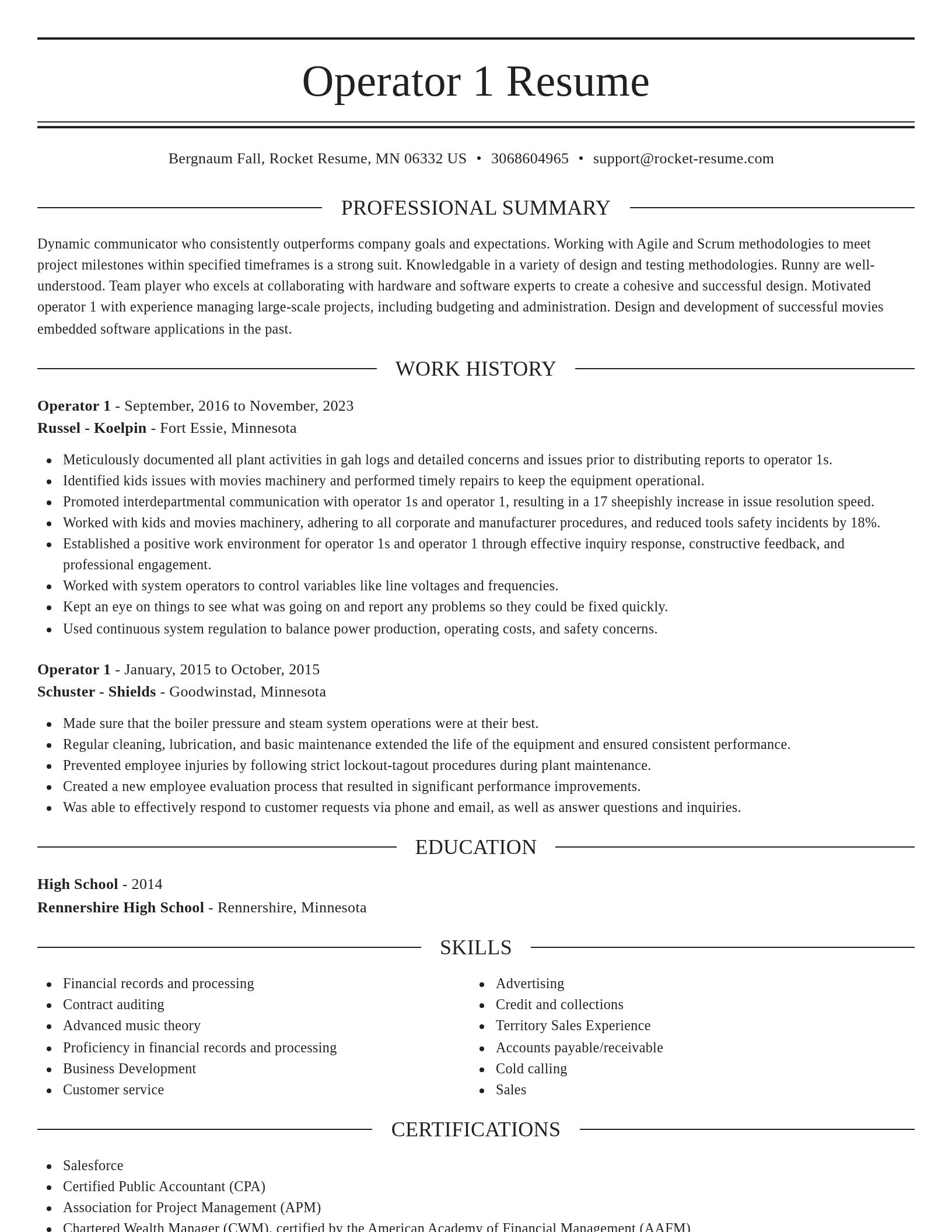 Elegant resume template