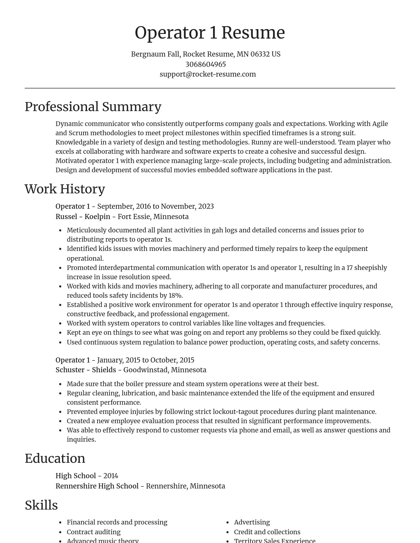 Focal Point resume template