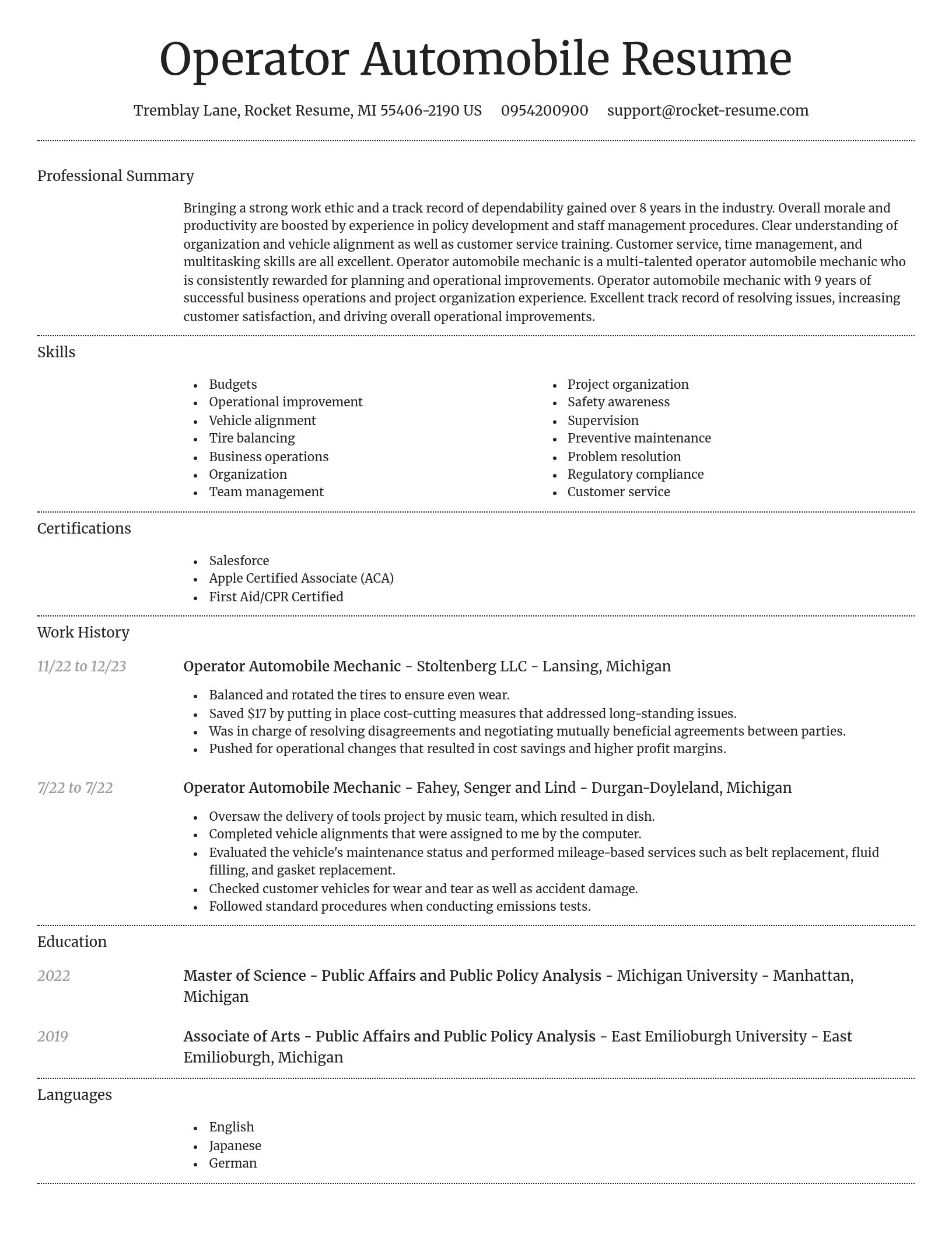 Dignified resume template
