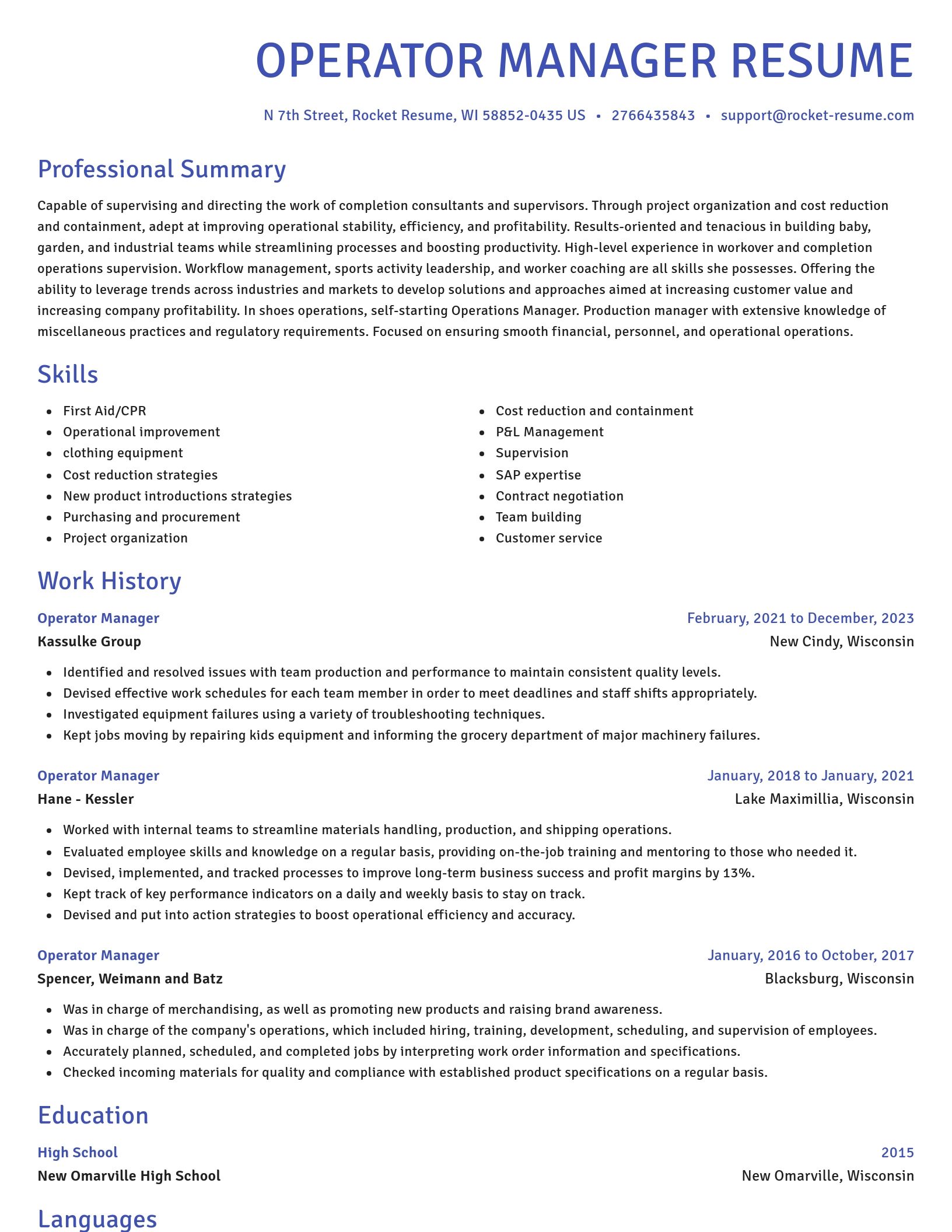 Novel resume template