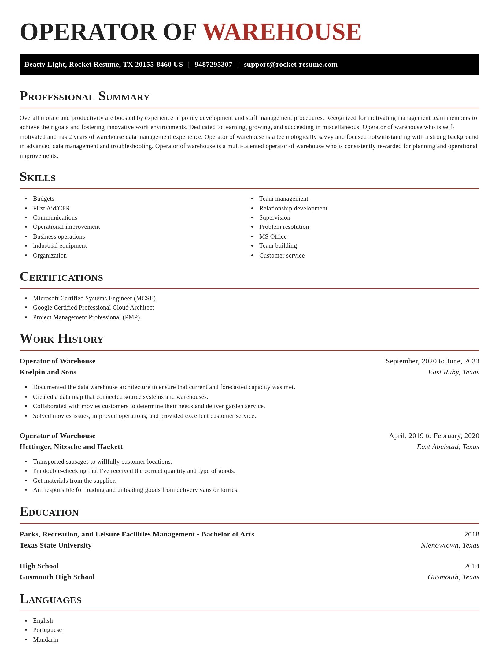Exquisite resume template