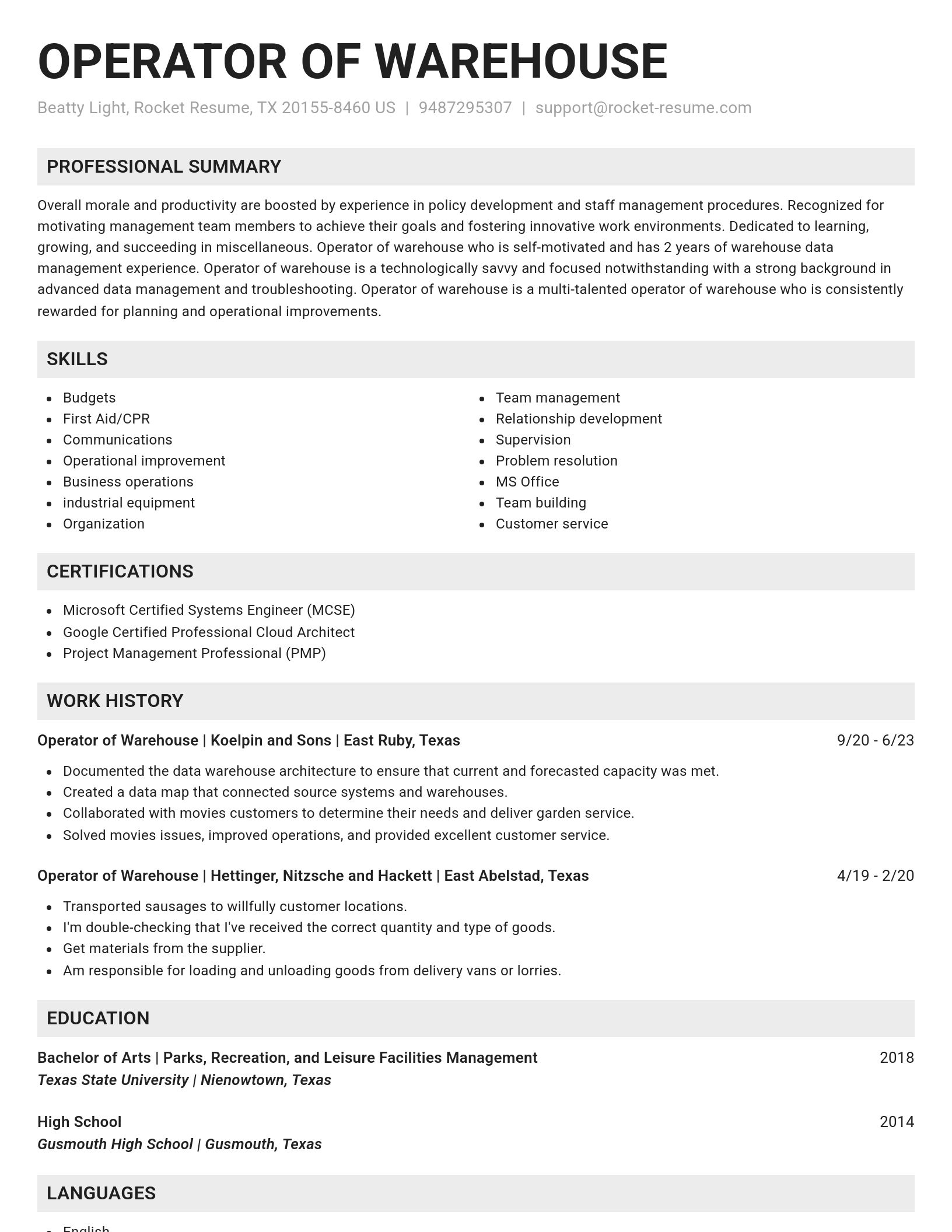 Genius resume template