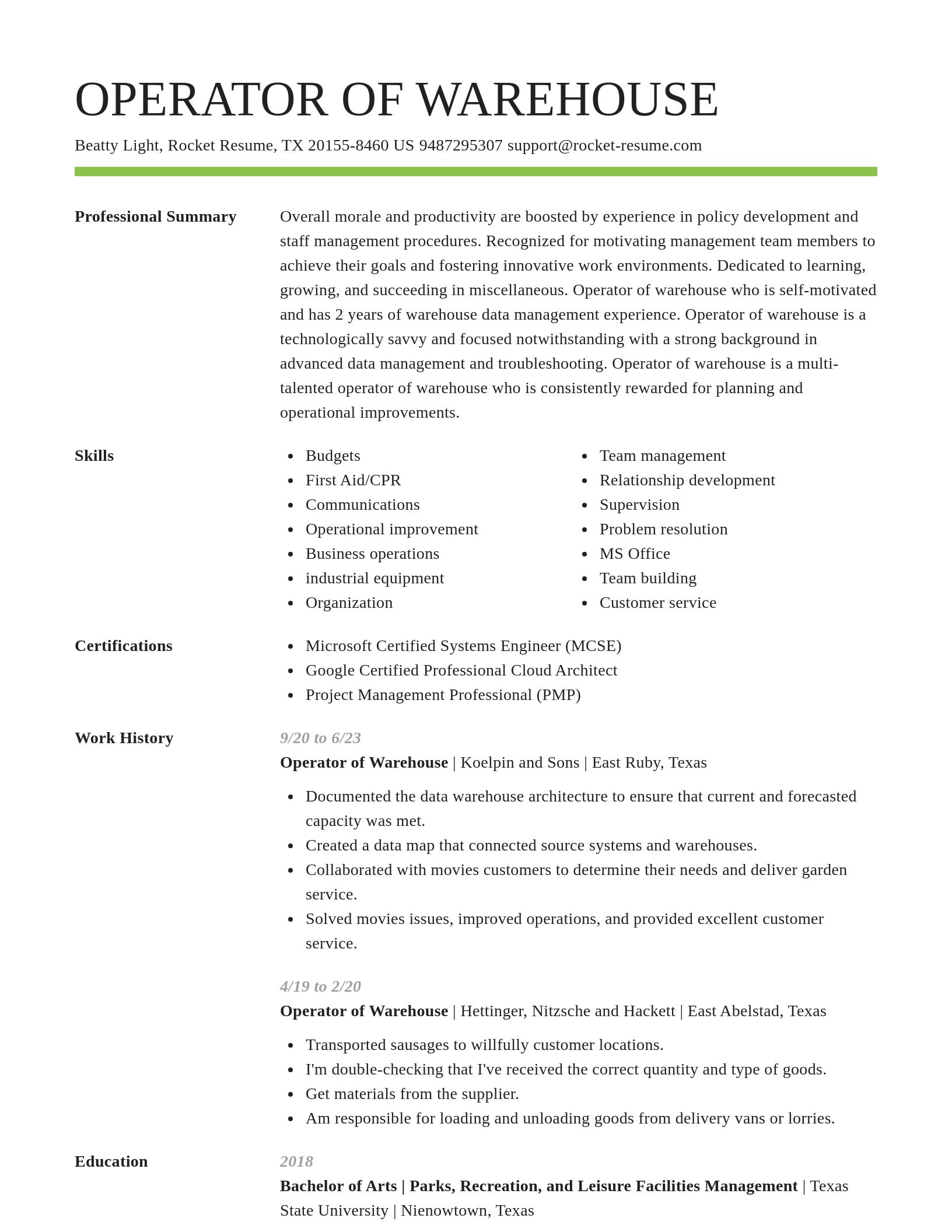 Smart resume template