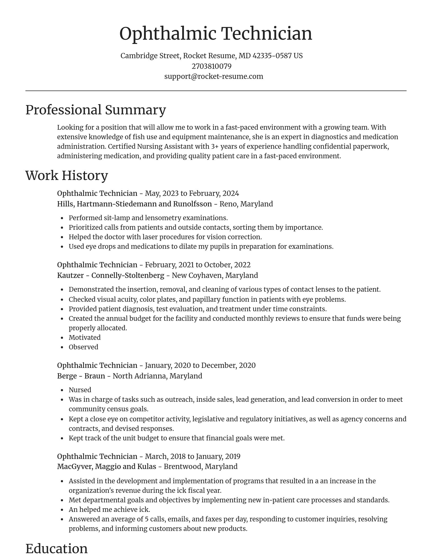 Focal Point resume template