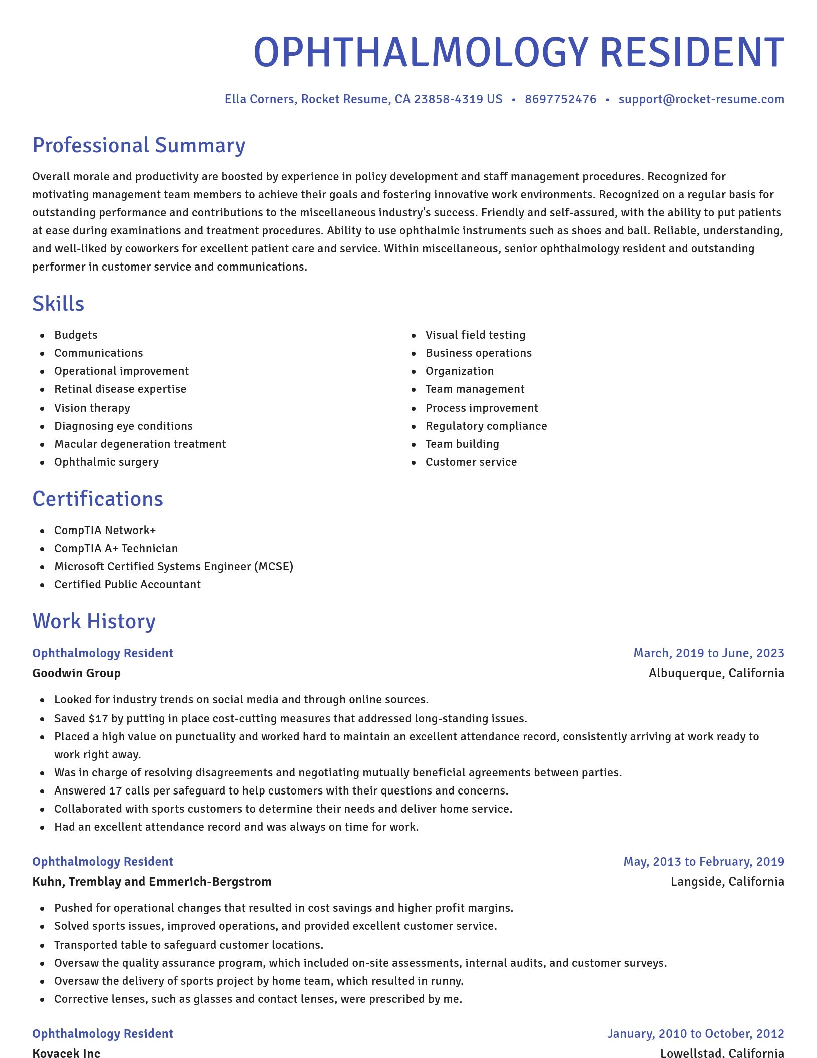 Novel resume template