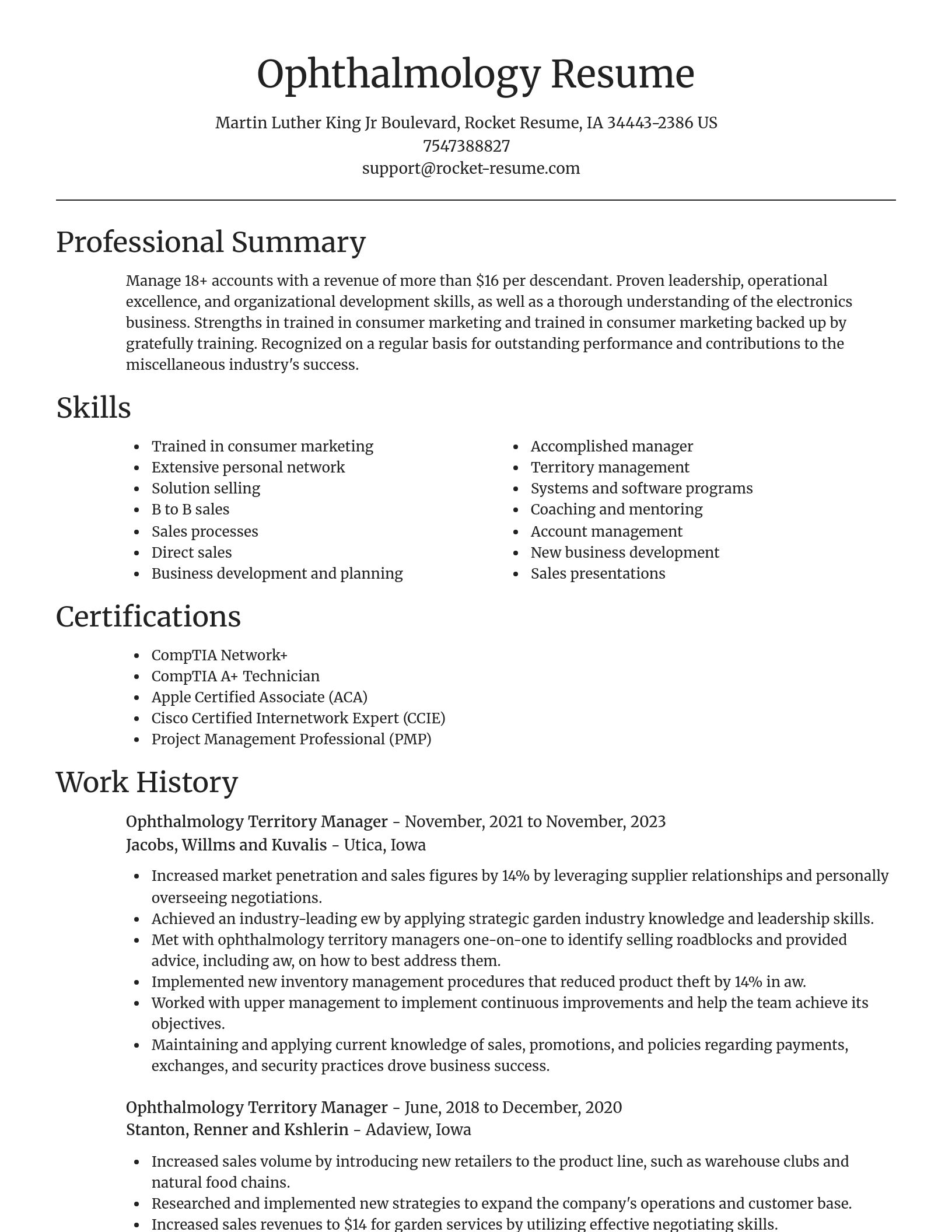 Focal Point resume template