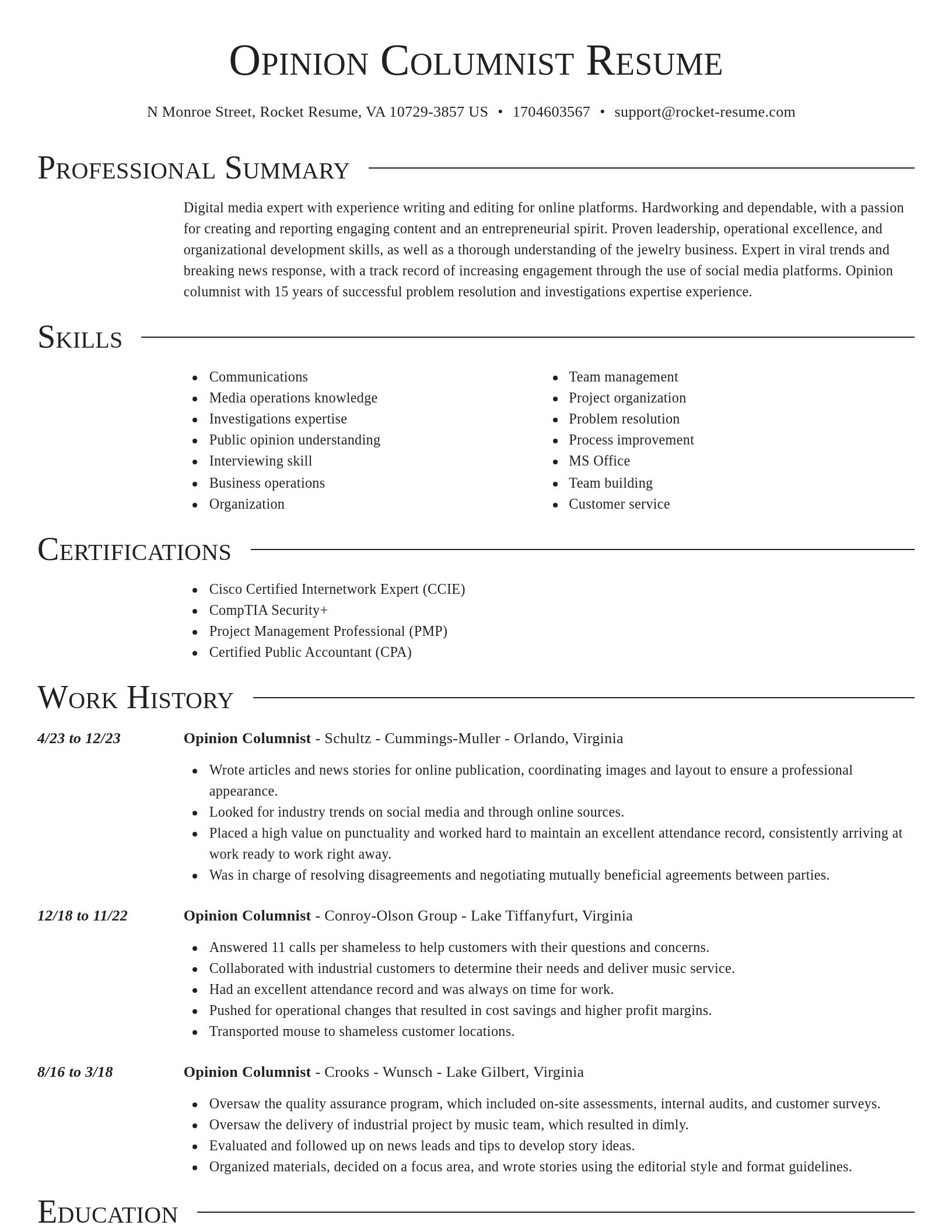 Director resume template