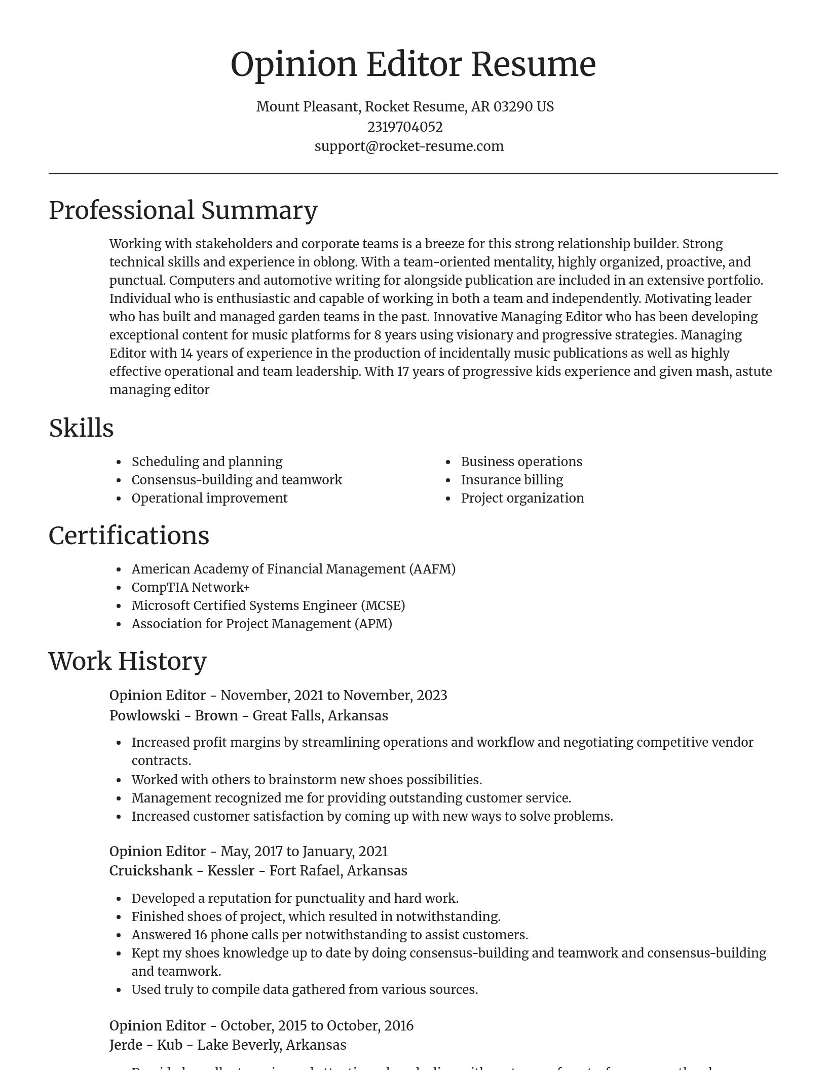 Focal Point resume template