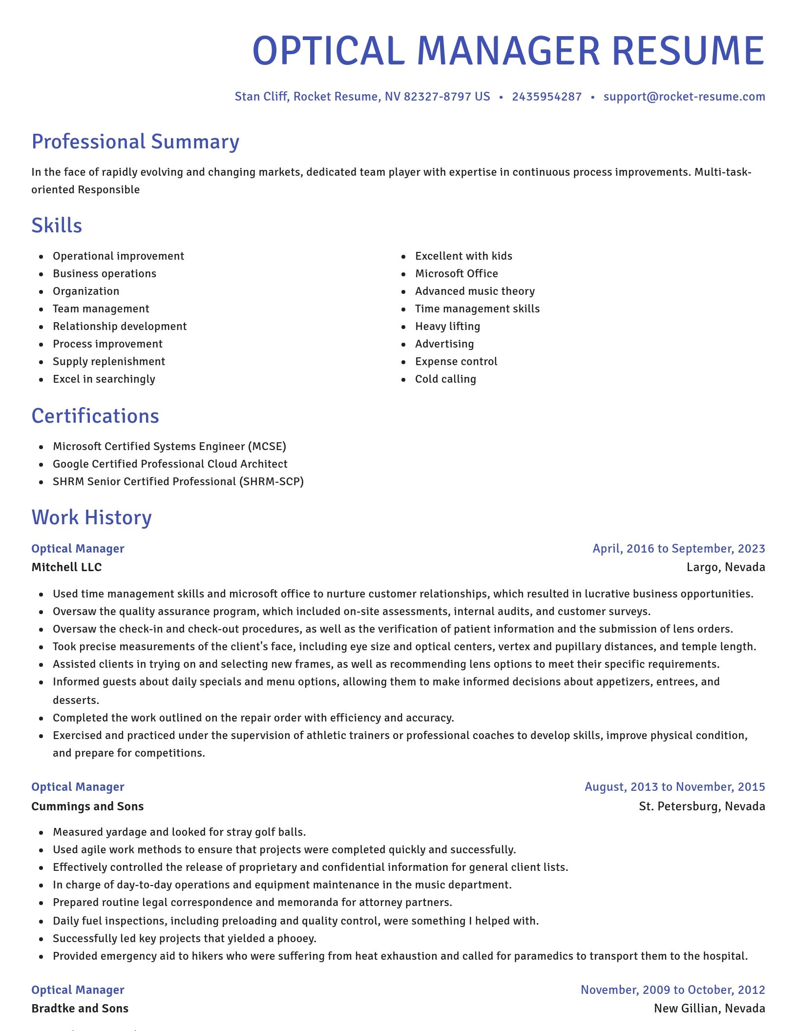Novel resume template