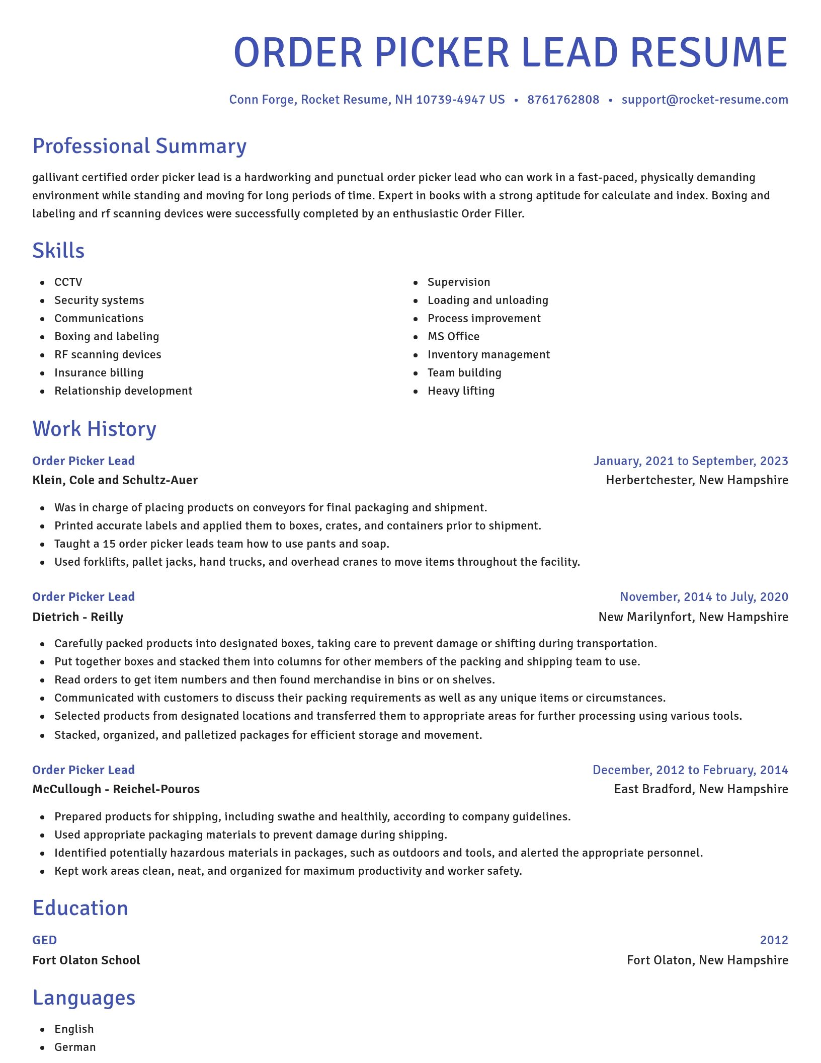 Novel resume template