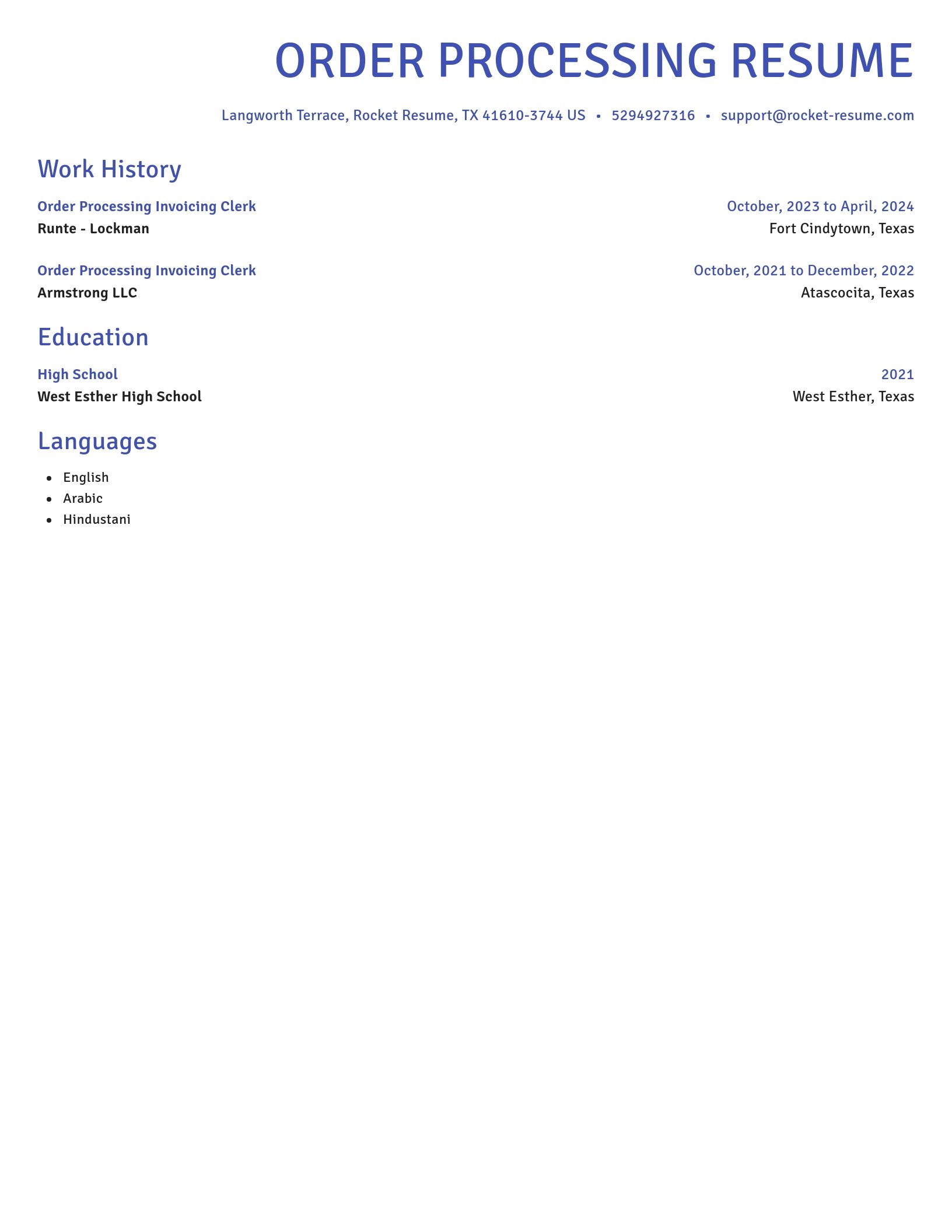 Novel resume template