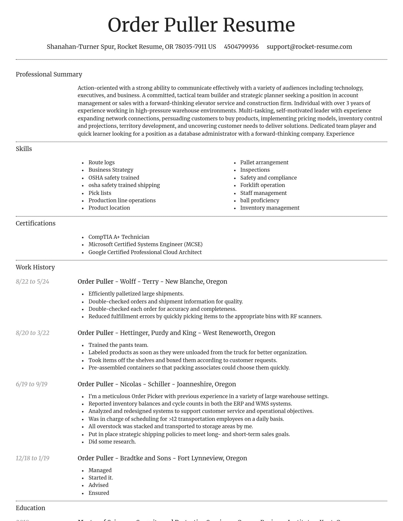 Dignified resume template