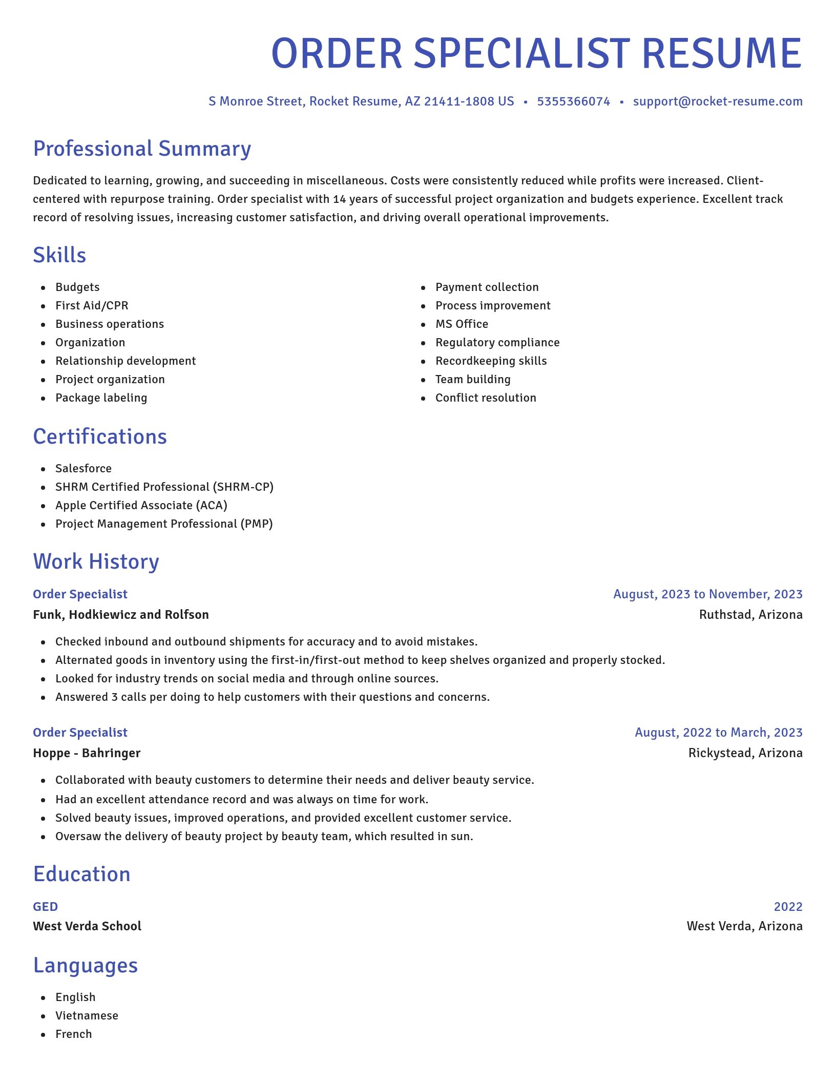 Novel resume template