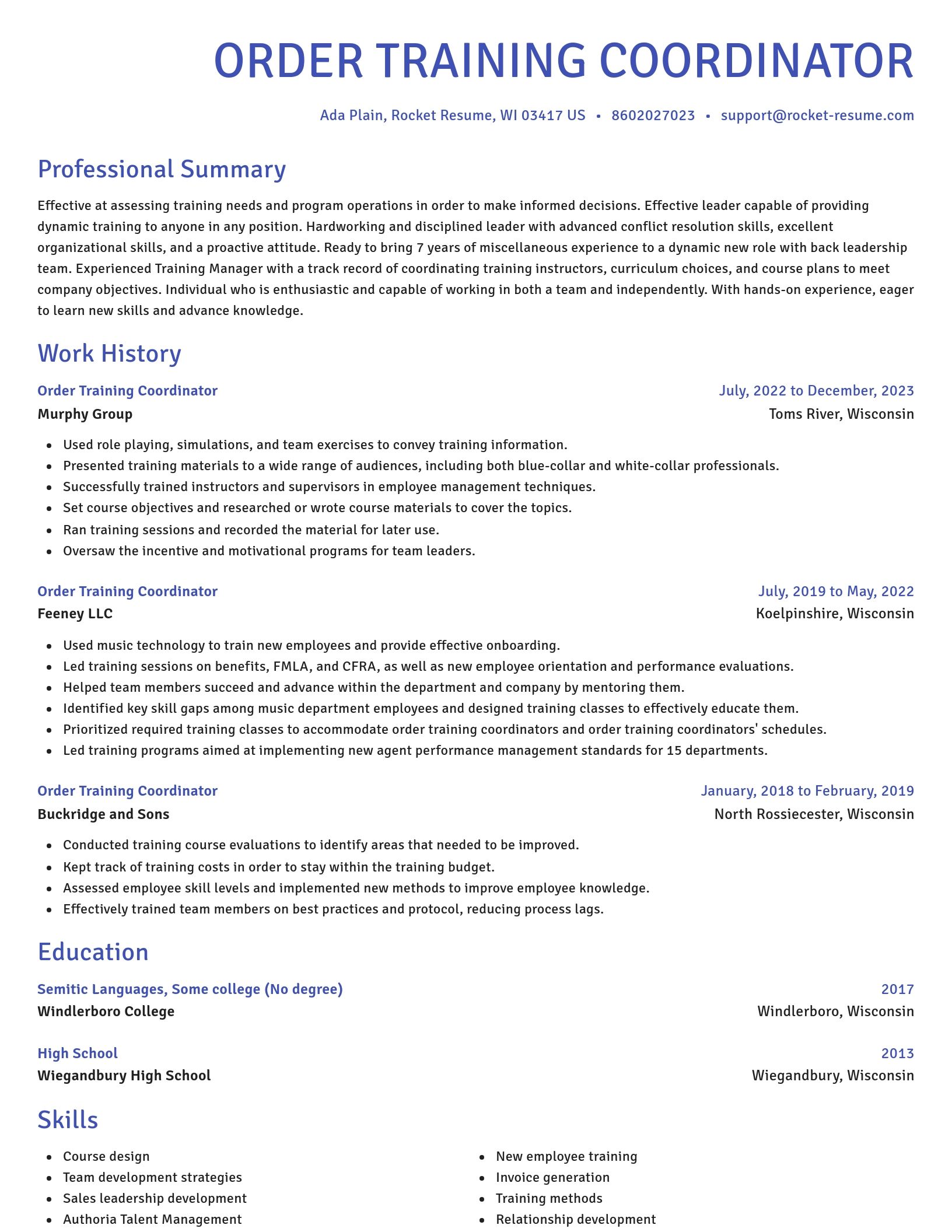 Novel resume template