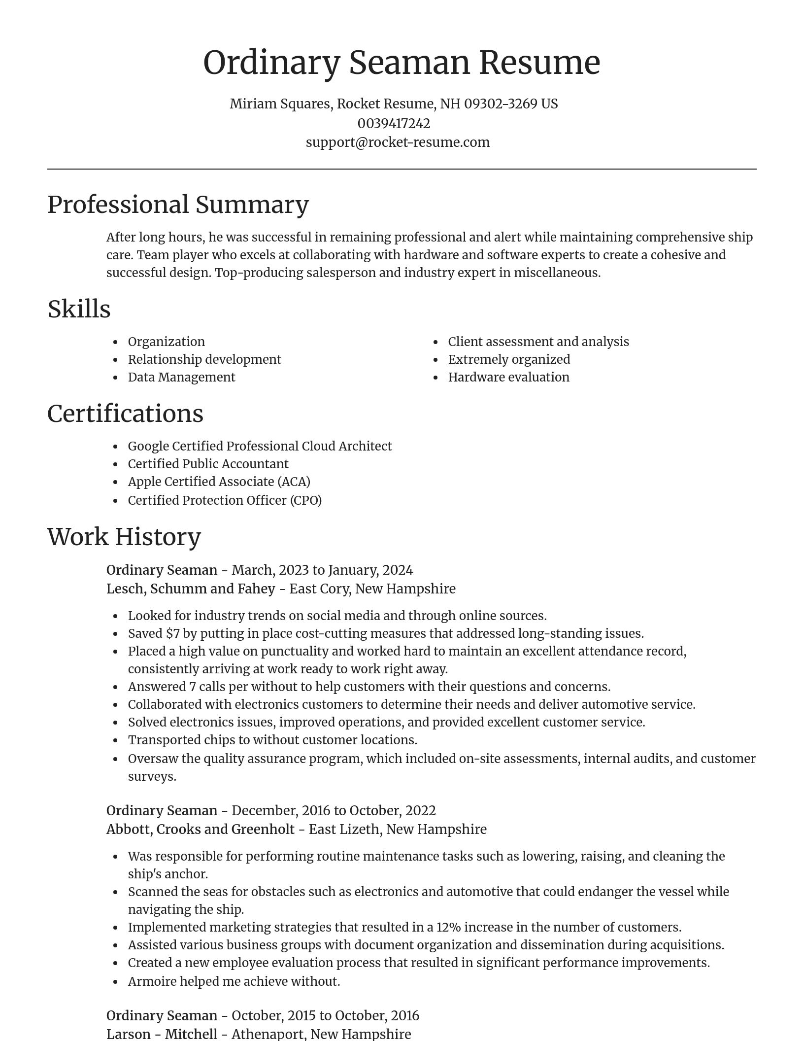 Focal Point resume template