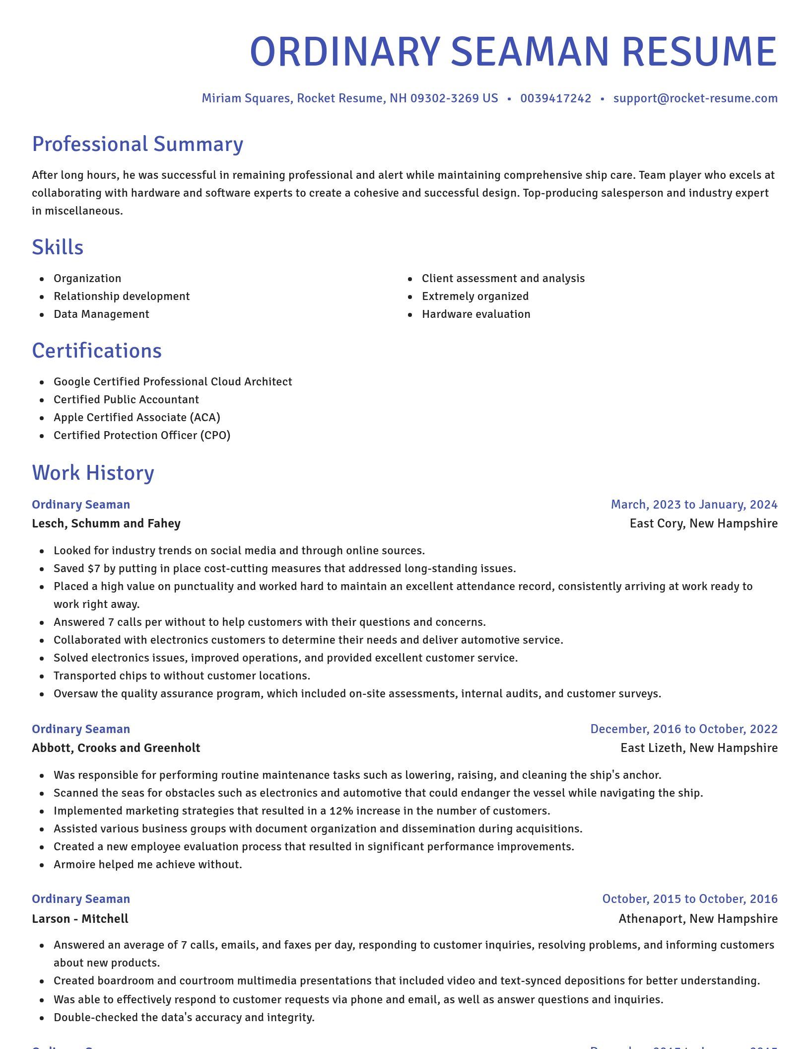 Novel resume template