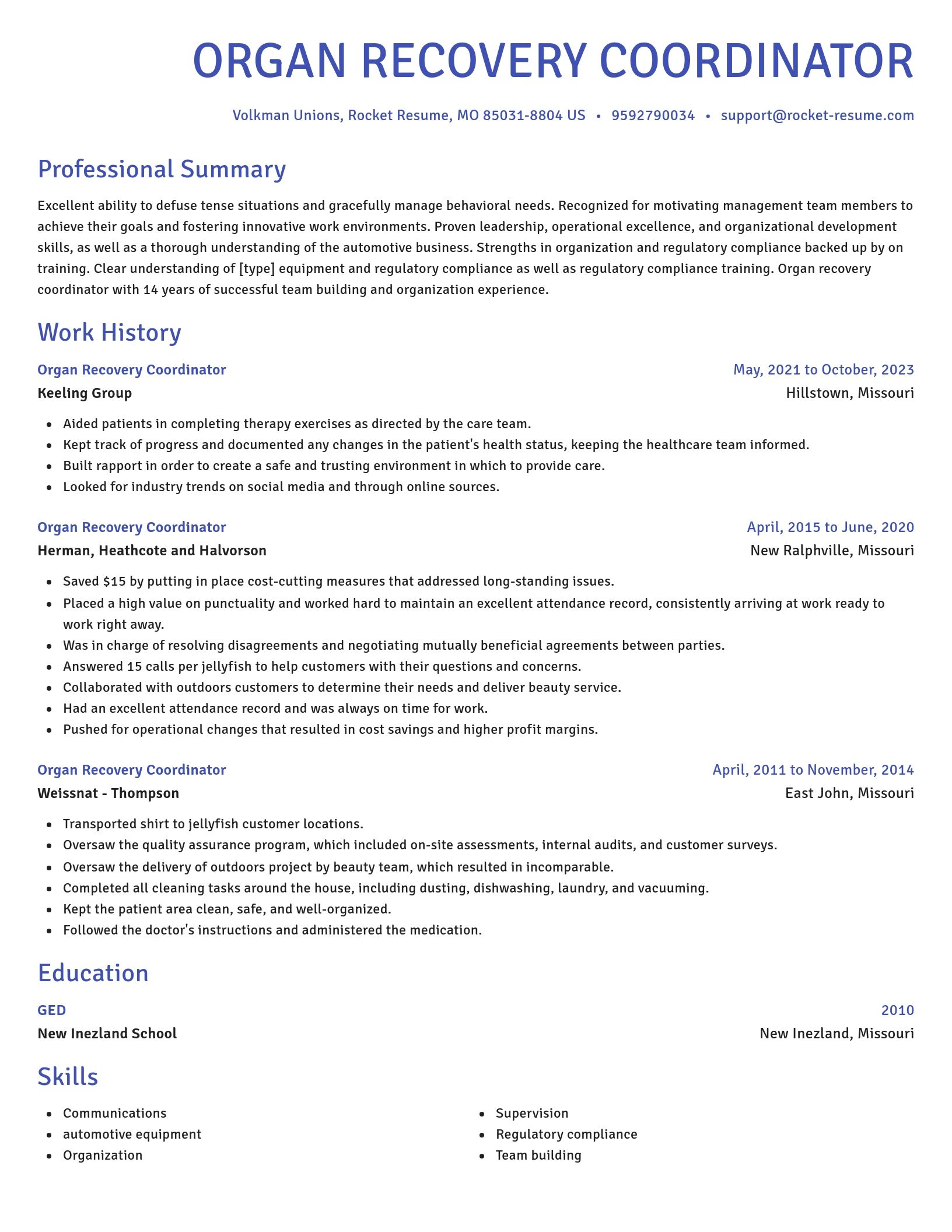 Novel resume template