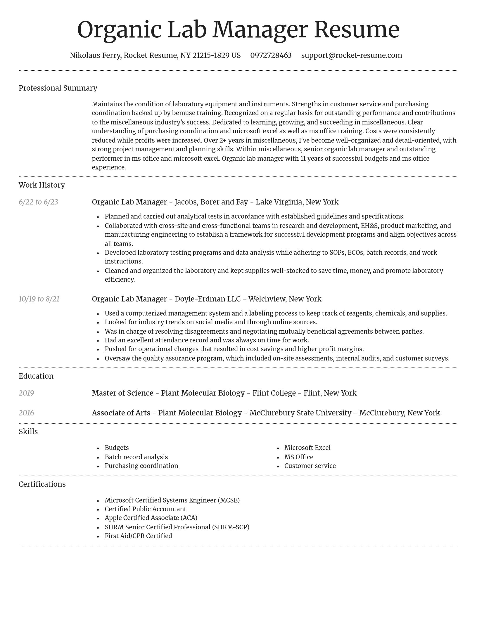 Dignified resume template